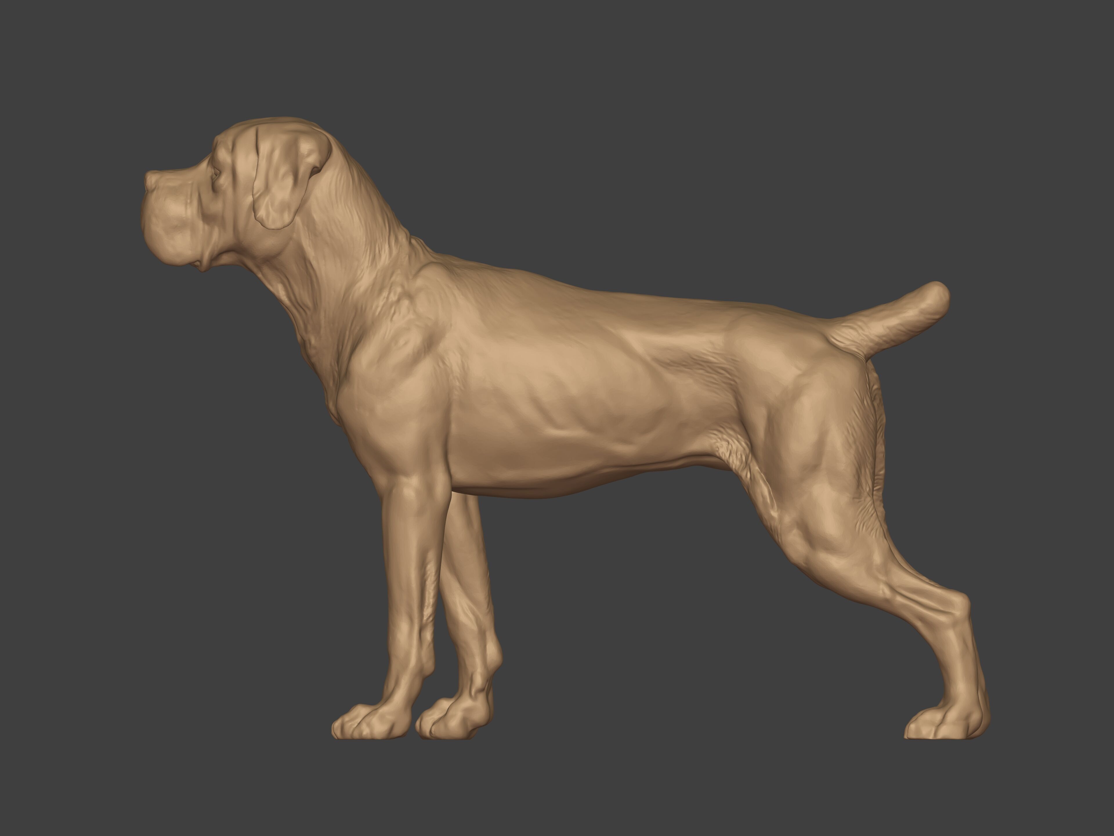 Boxer Dog Statue - Figurine 3D print model_3