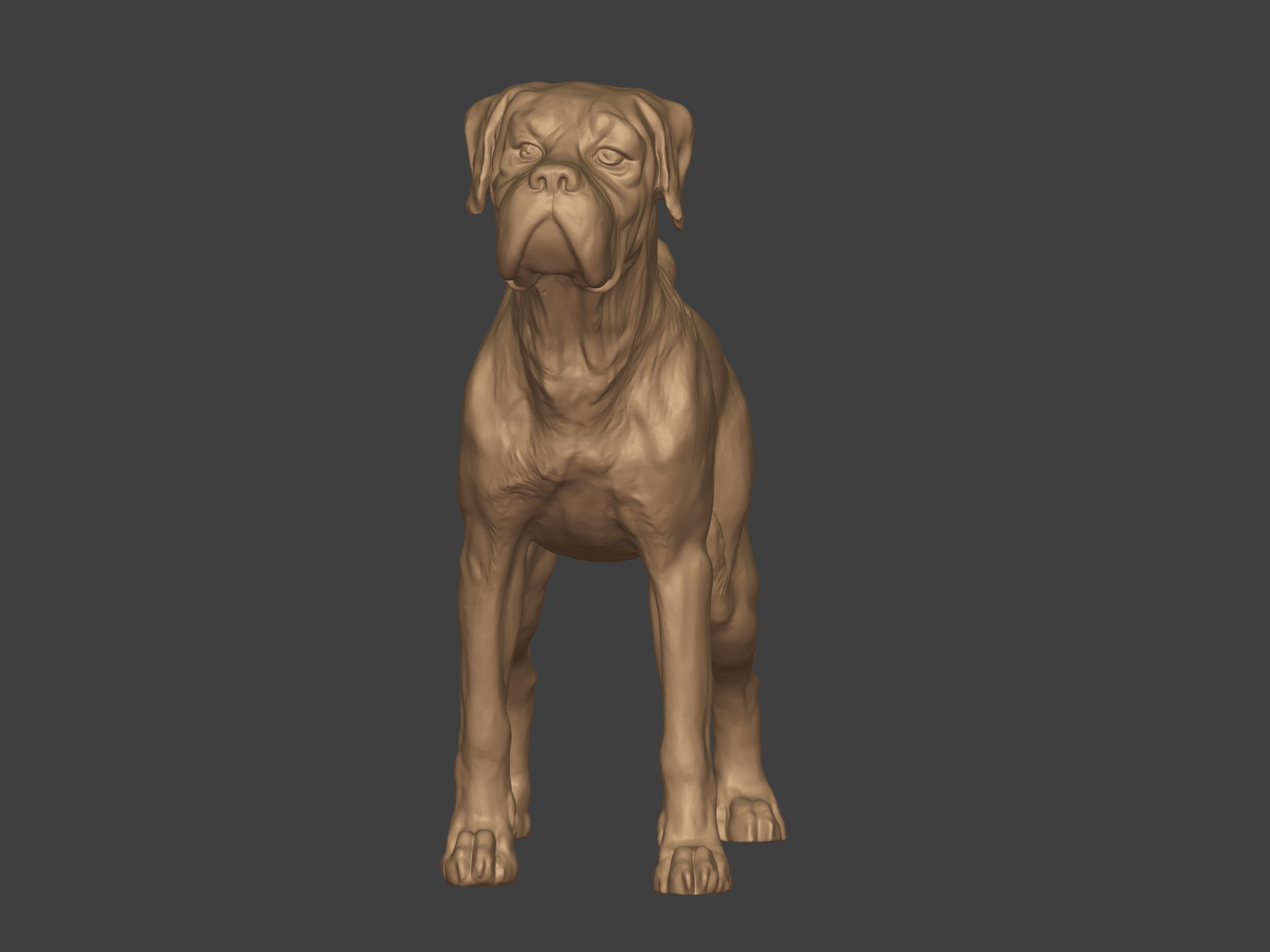 Boxer Dog Statue - Figurine 3D print model_4
