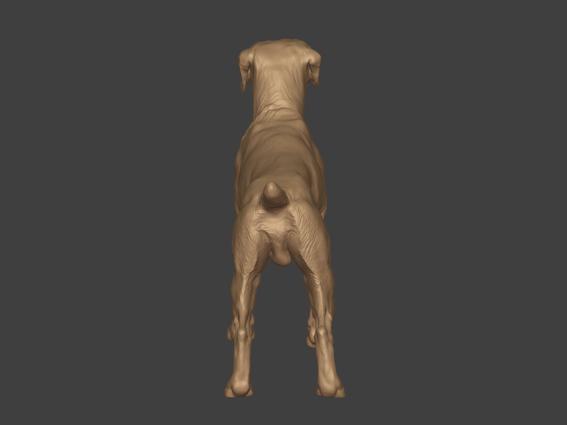 Boxer Dog Statue - Figurine 3D print model_7