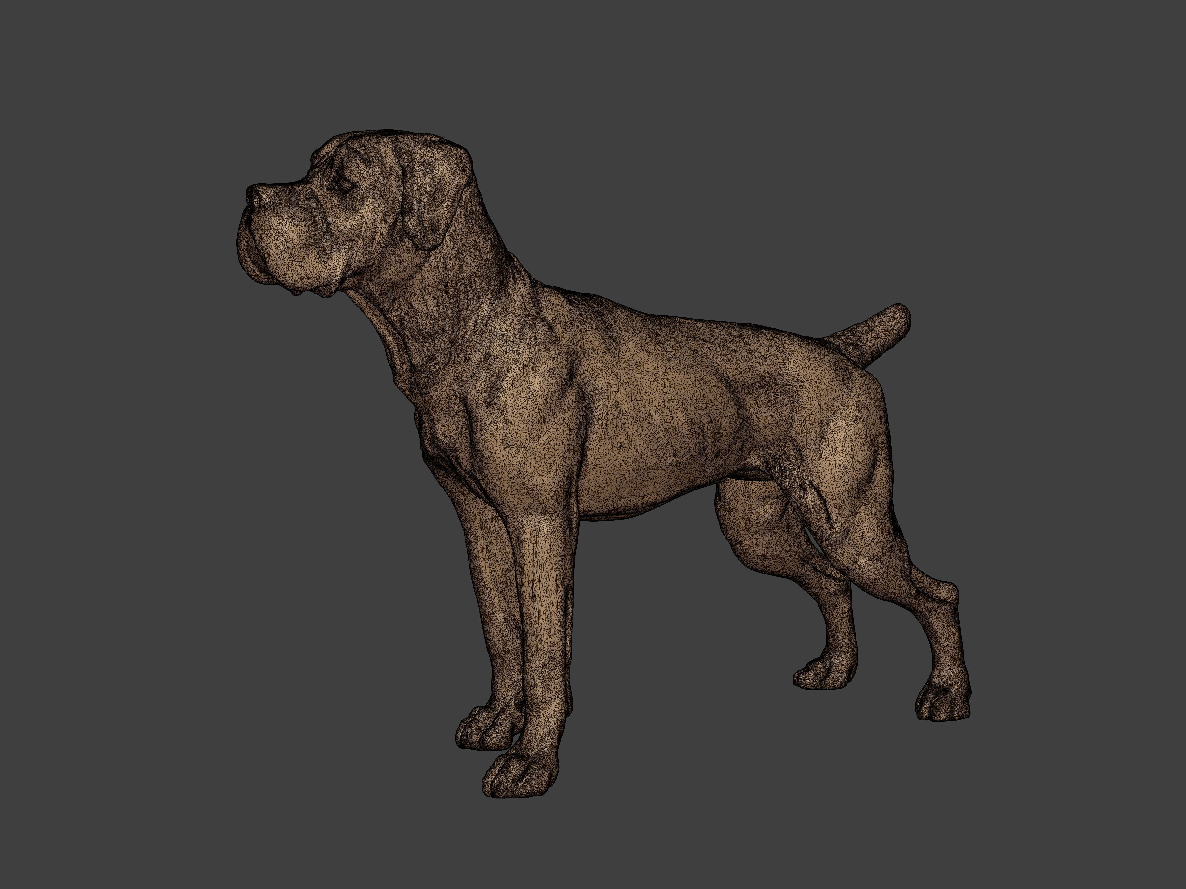 Boxer Dog Statue - Figurine 3D print model_2