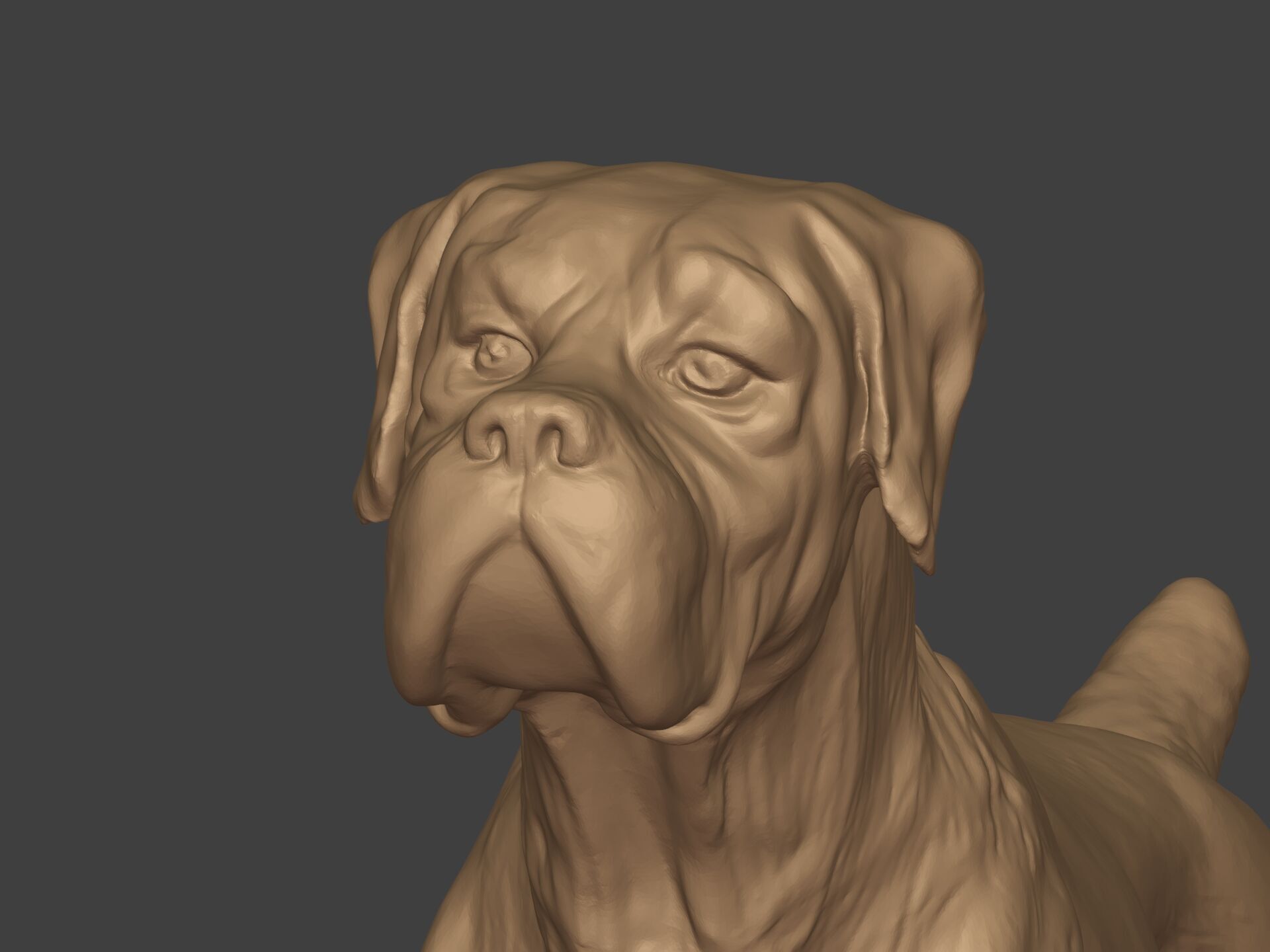 Boxer Dog Statue - Figurine 3D print model_15