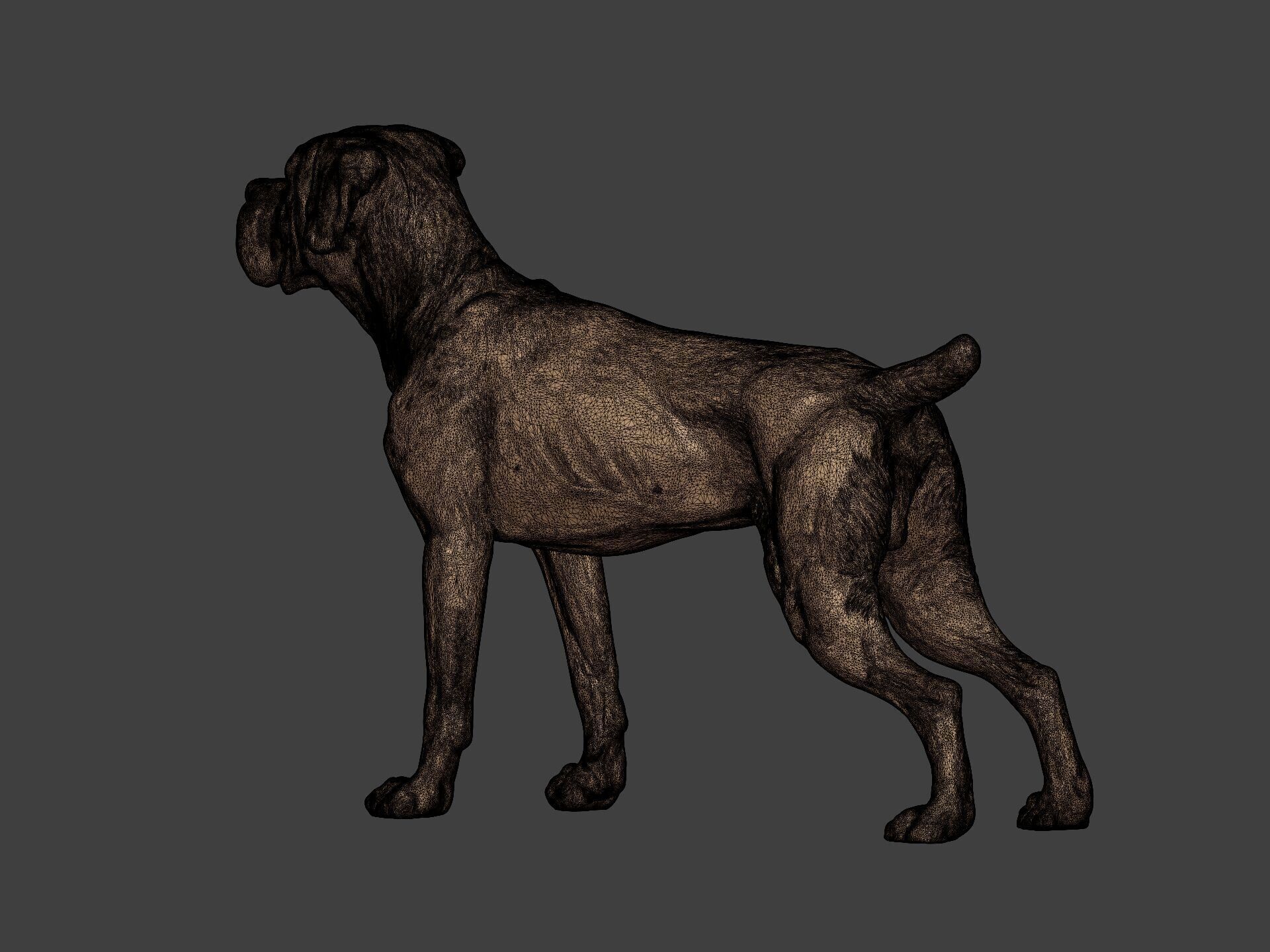 Boxer Dog Statue - Figurine 3D print model_6