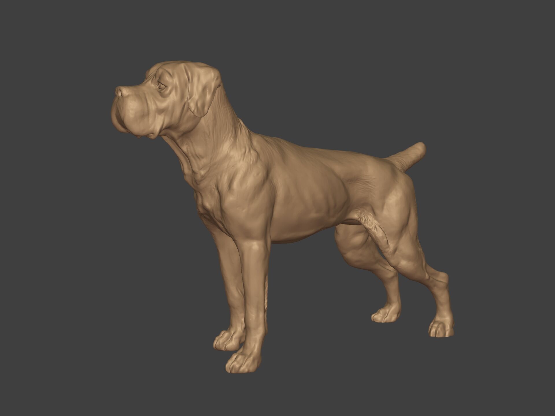 Boxer Dog Statue - Figurine 3D print model_1