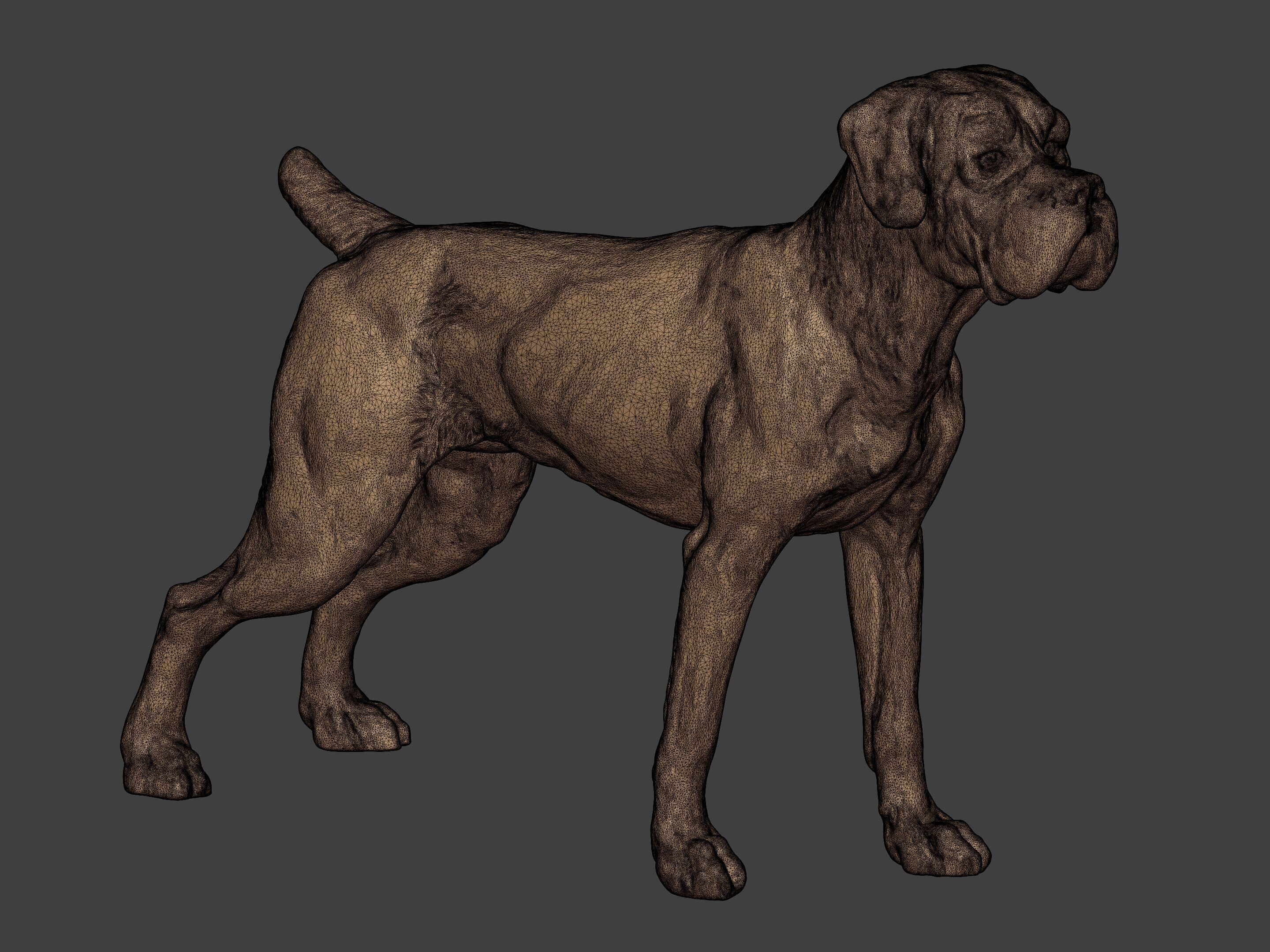 Boxer Dog Statue - Figurine 3D print model_14