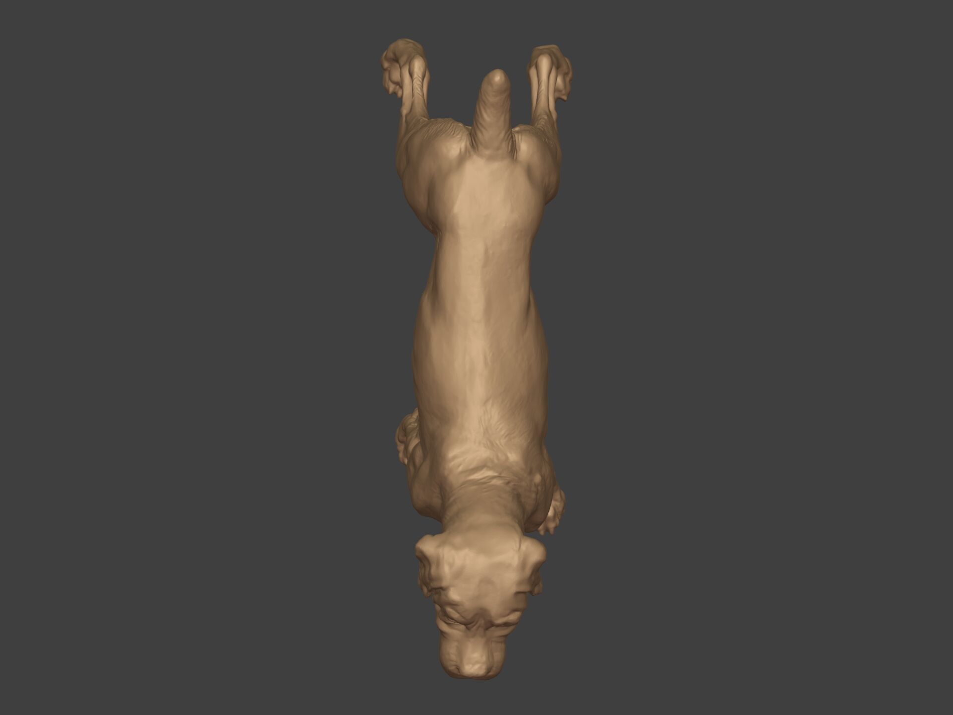 Boxer Dog Statue - Figurine 3D print model_9