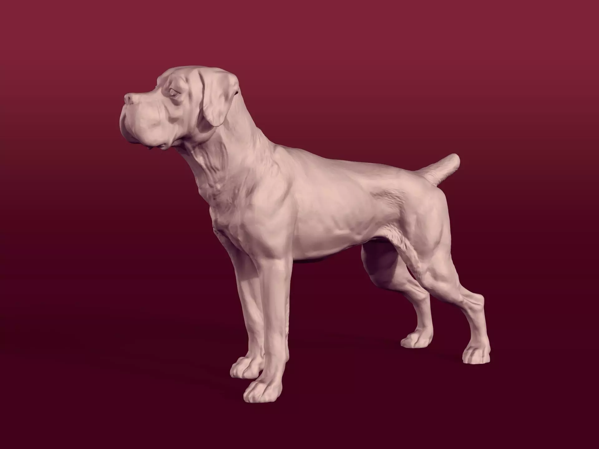 Boxer Dog Statue - Figurine 3D print model_0