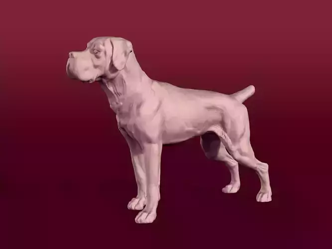 Boxer Dog Statue - Figurine 3D print model