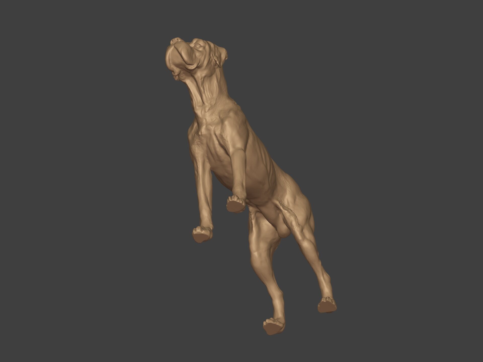 Boxer Dog Statue - Figurine 3D print model_11