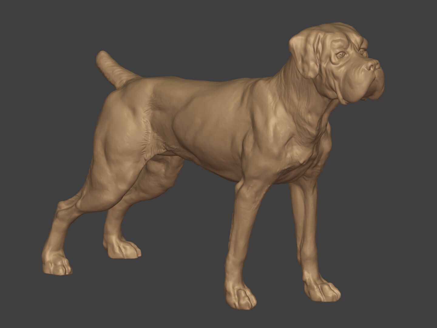 Boxer Dog Statue - Figurine 3D print model_13