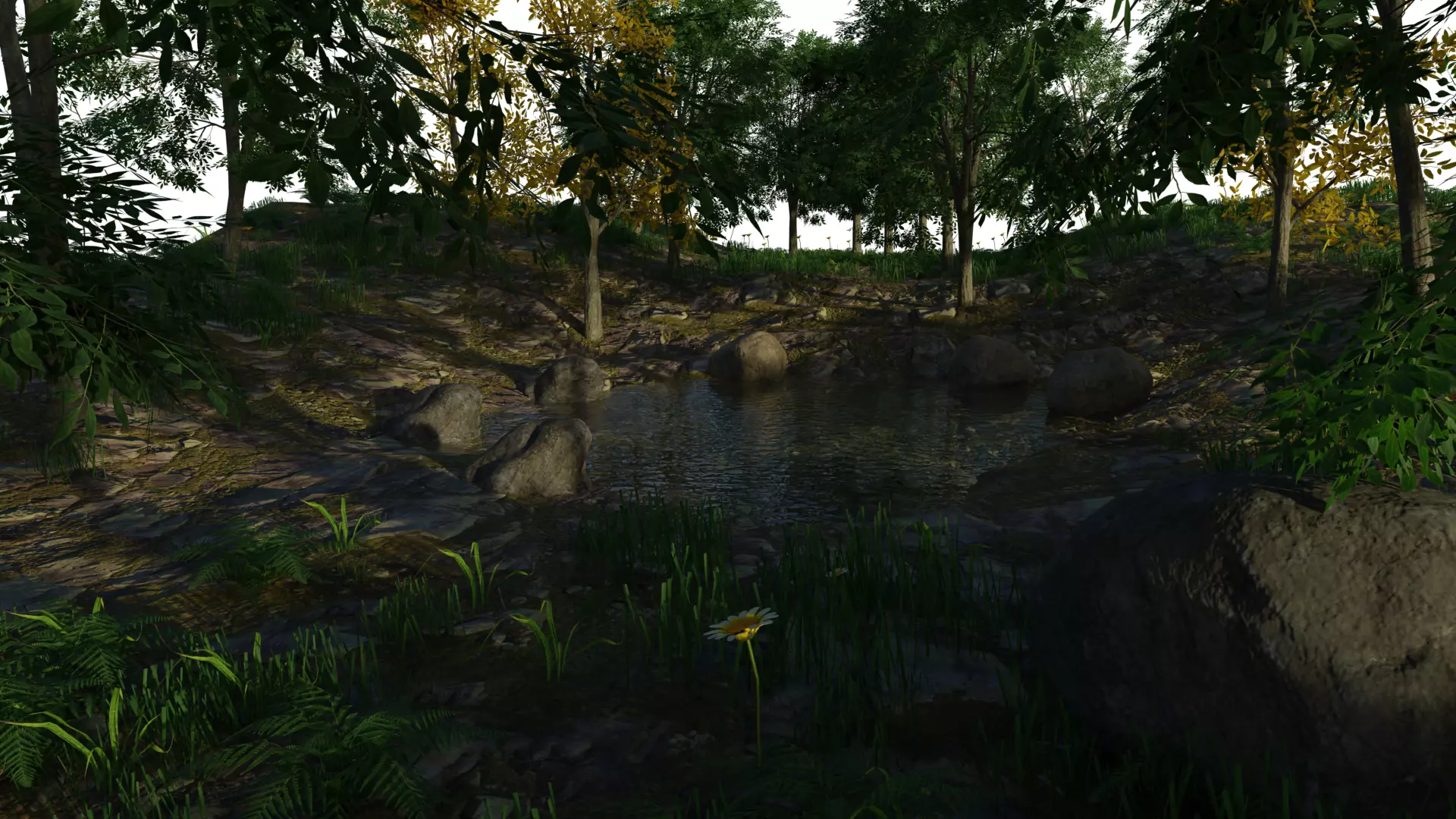 Forest Scene Low-poly 3D model