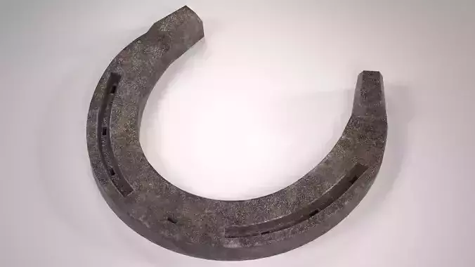 Old Rusty Horseshoe