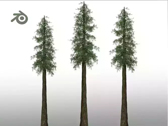 Redwood Sequoia Low-poly 3D model