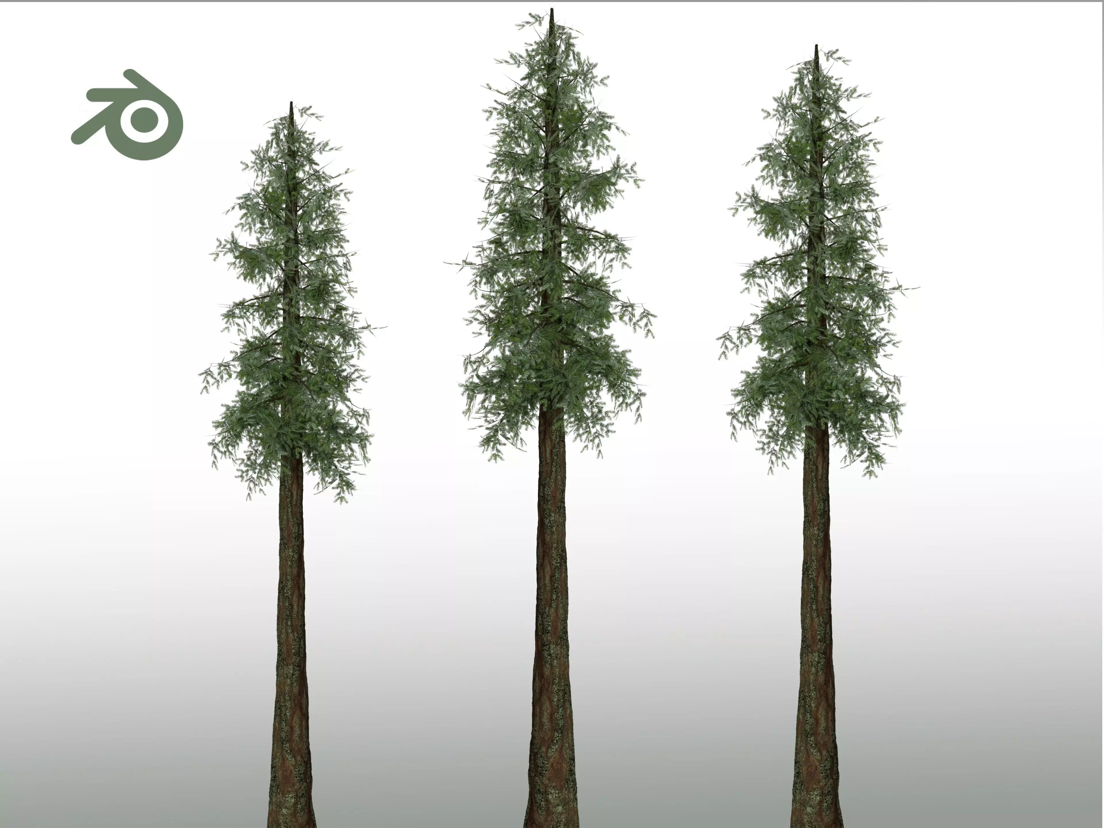 Redwood Sequoia Low-poly 3D model_0
