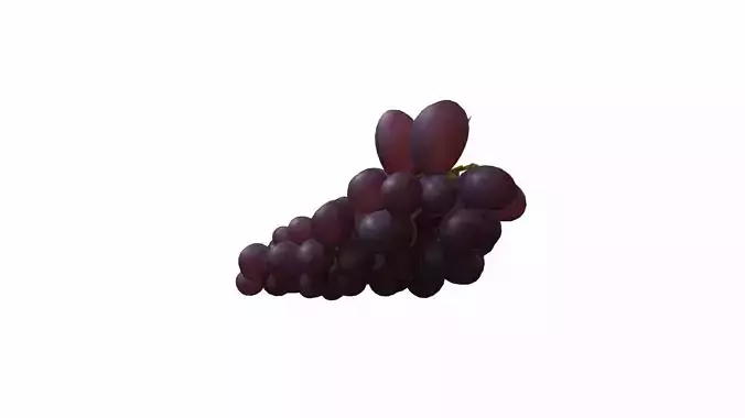 Fresh Black Dark Red Grape  3d Render