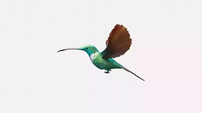 Close-up Of Hummingbird Flying Mid-air 3d Render