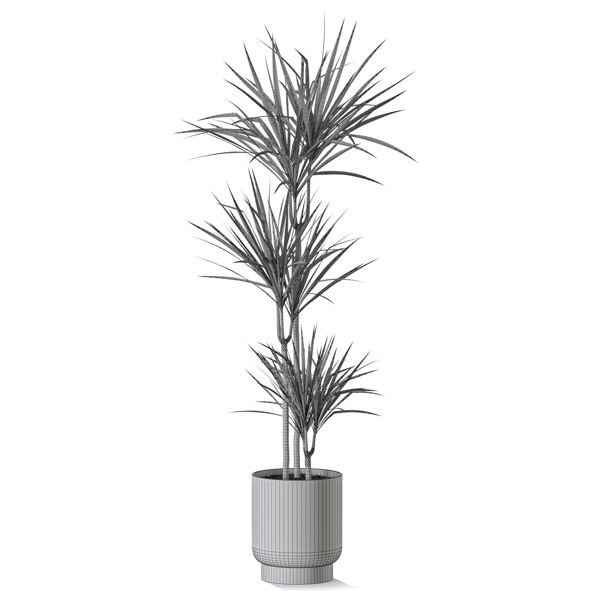 Plant 1241 3D model_4