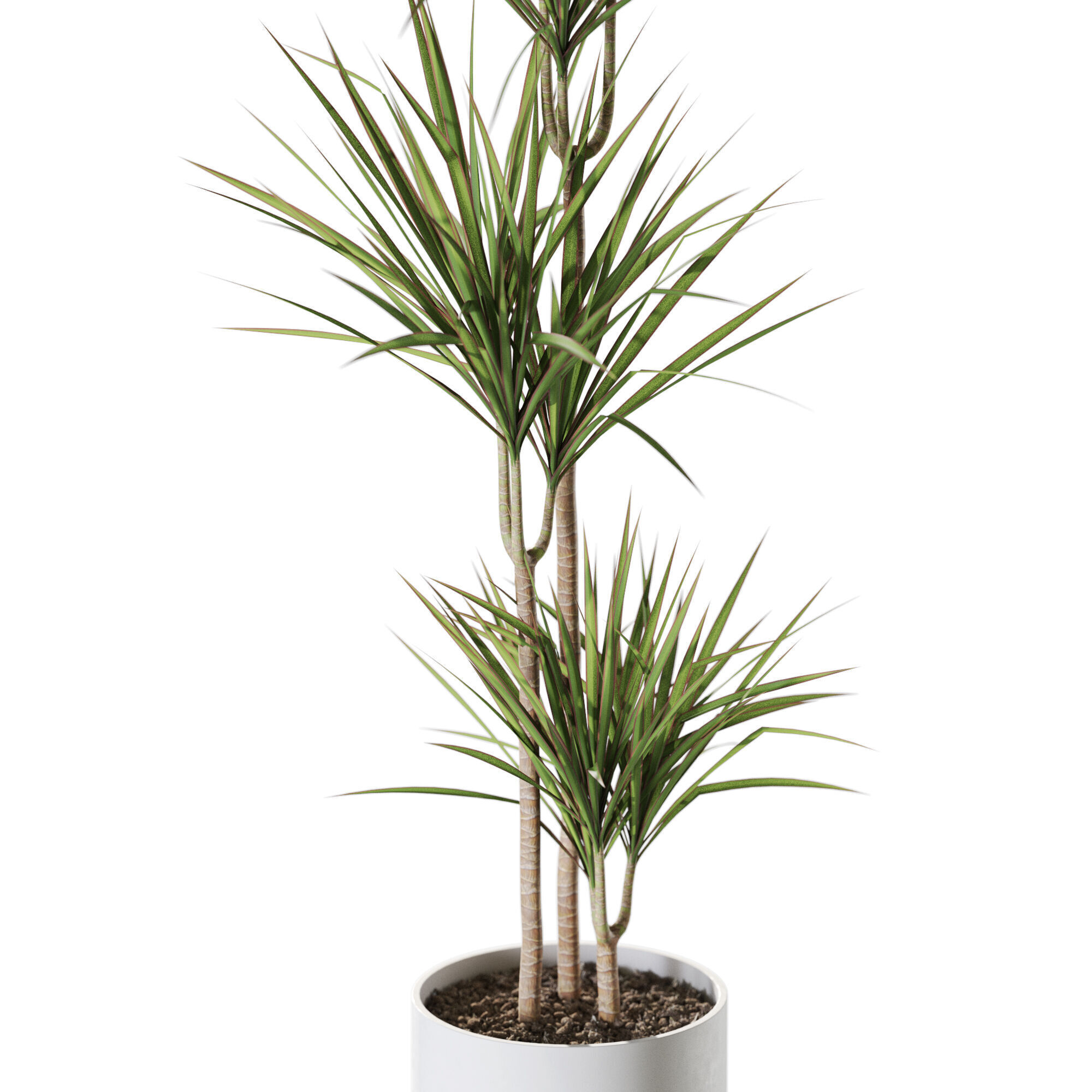 Plant 1241 3D model_2