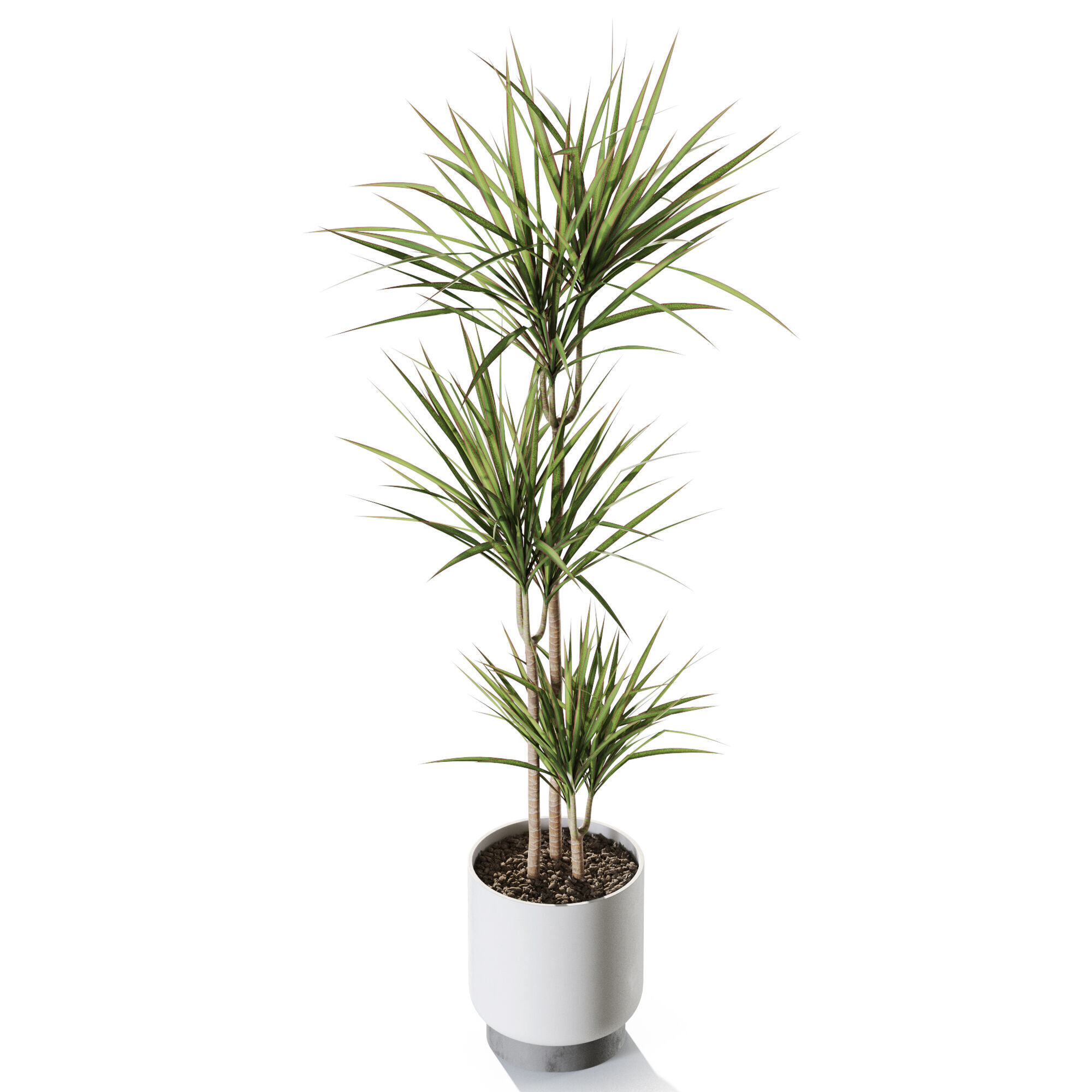 Plant 1241 3D model_3