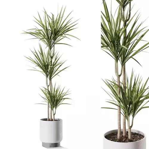Plant 1241 3D model