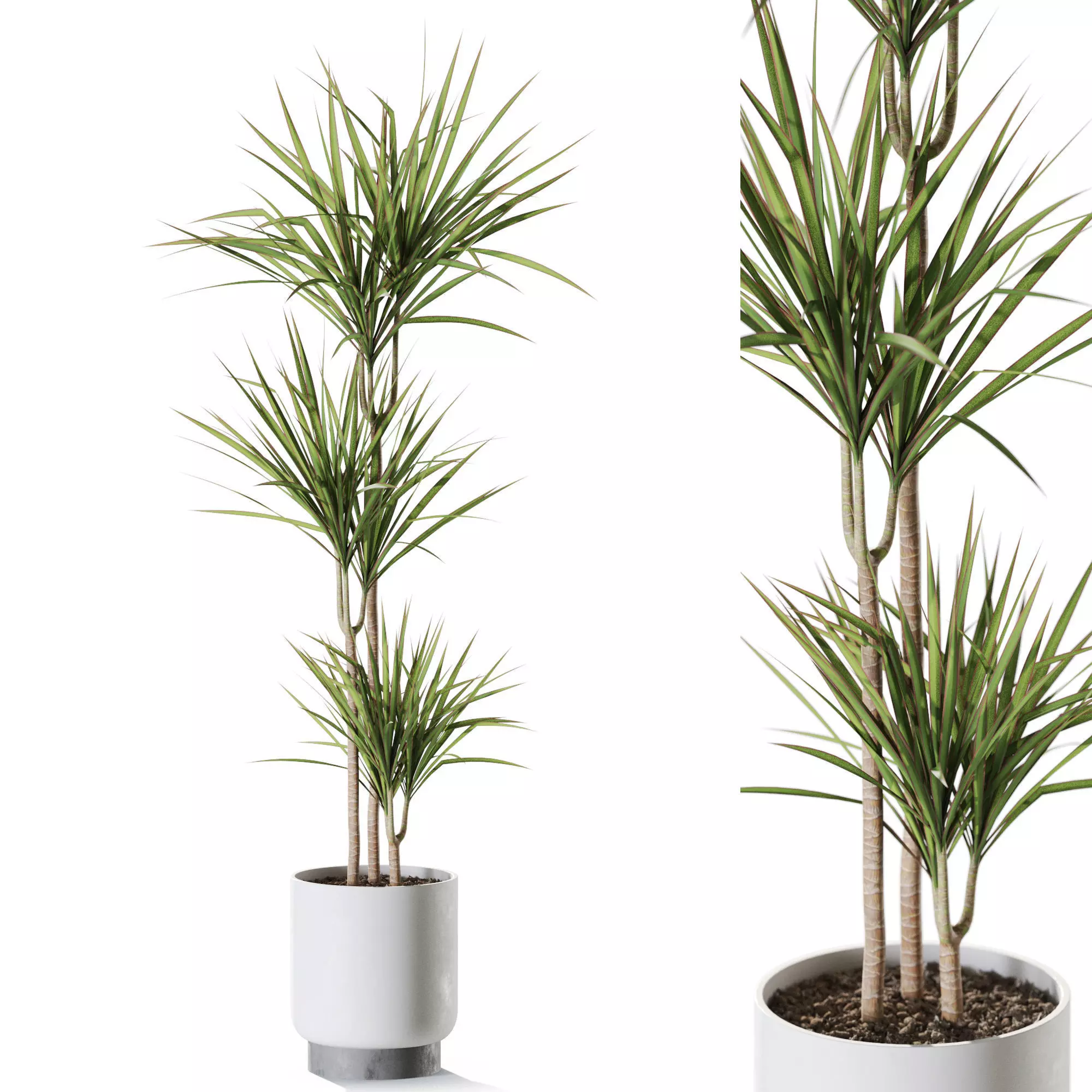 Plant 1241 3D model_0