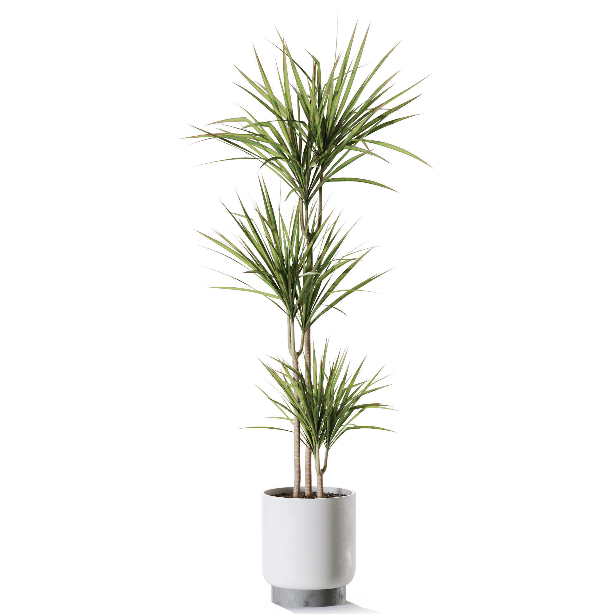 Plant 1241 3D model_1