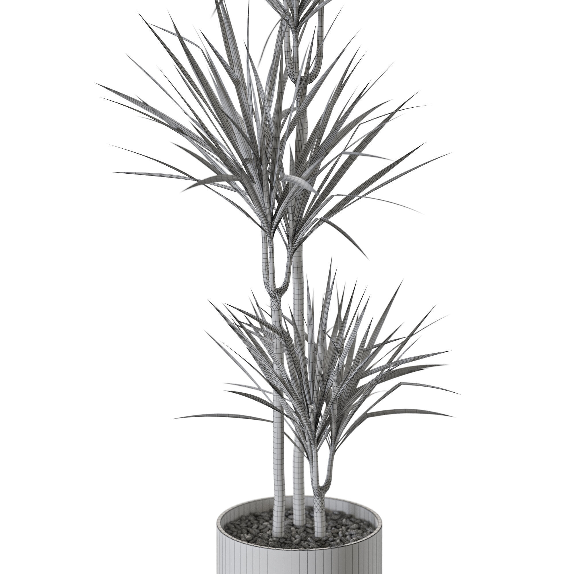 Plant 1241 3D model_5