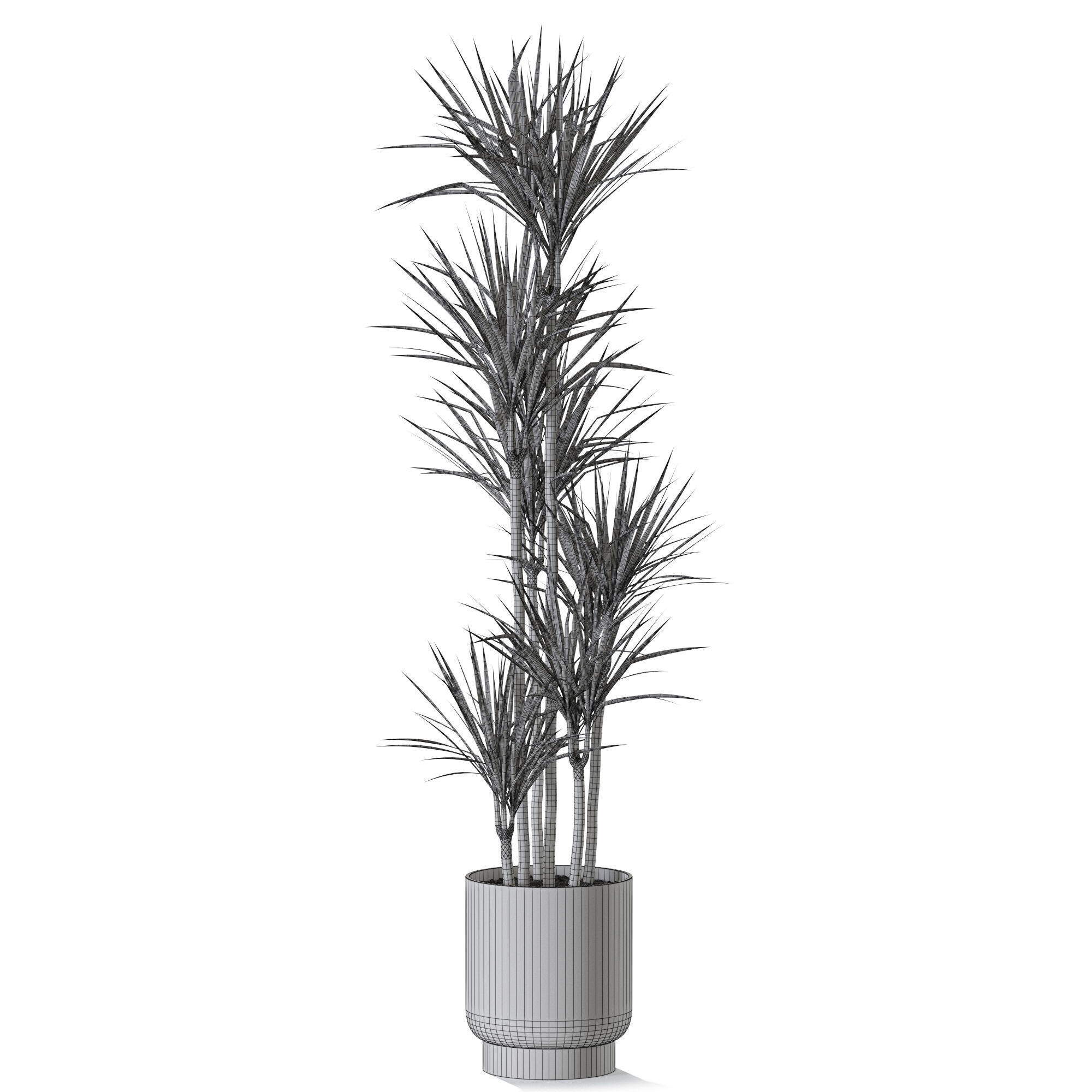 Plant 1242 3D model_4