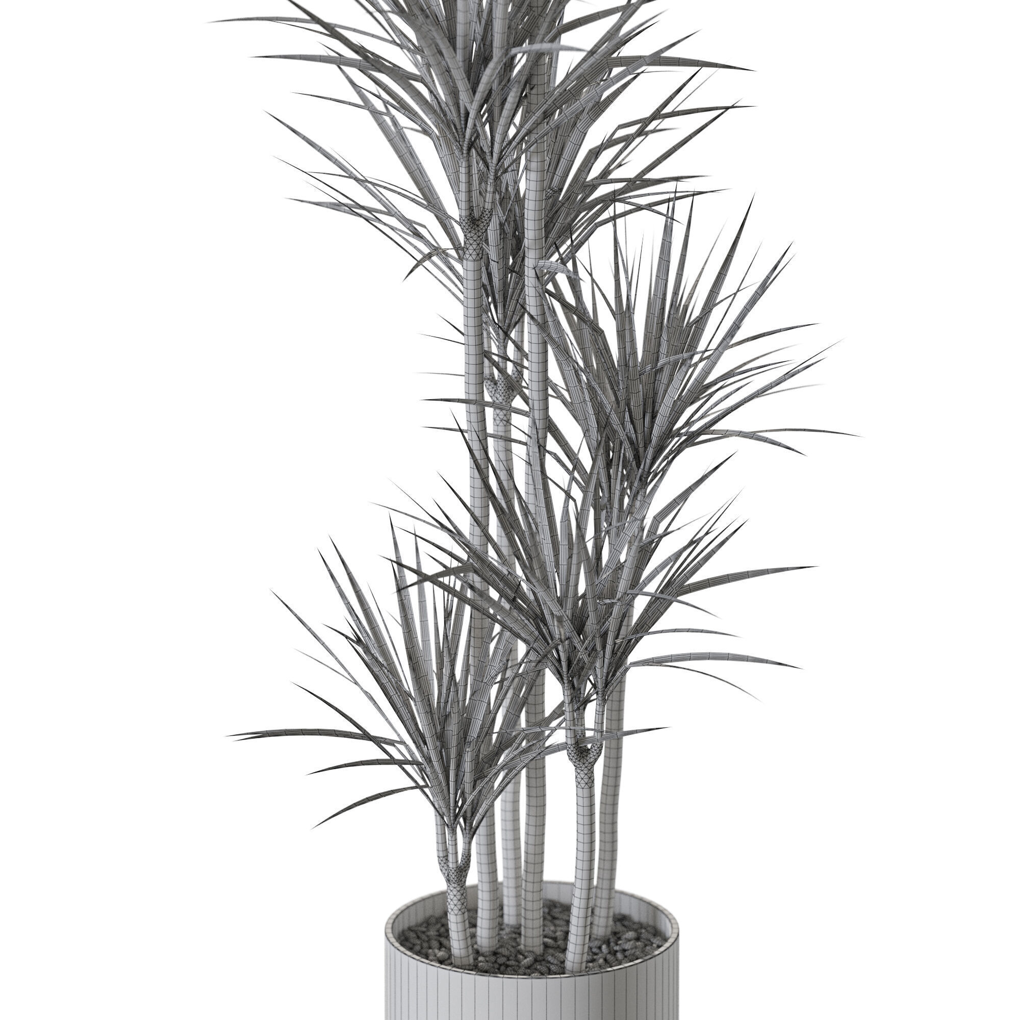Plant 1242 3D model_5