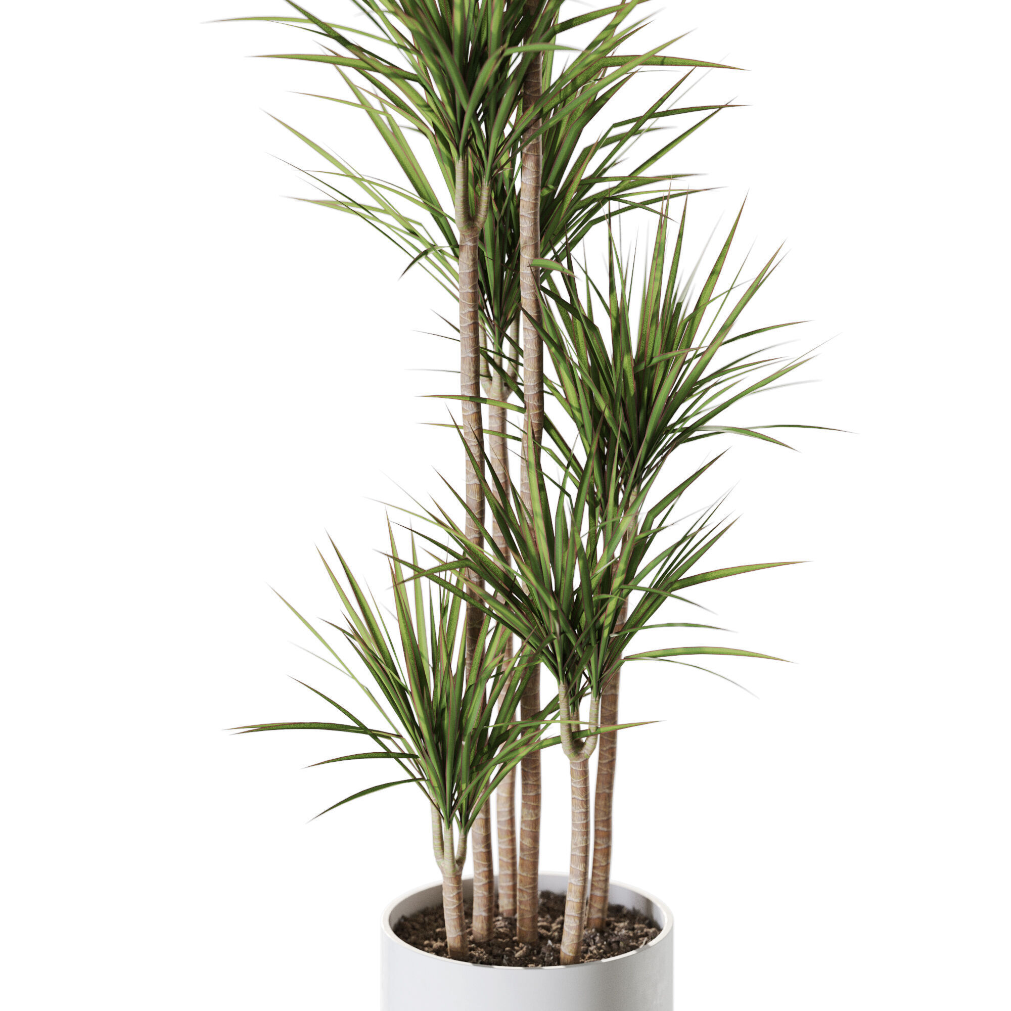 Plant 1242 3D model_2