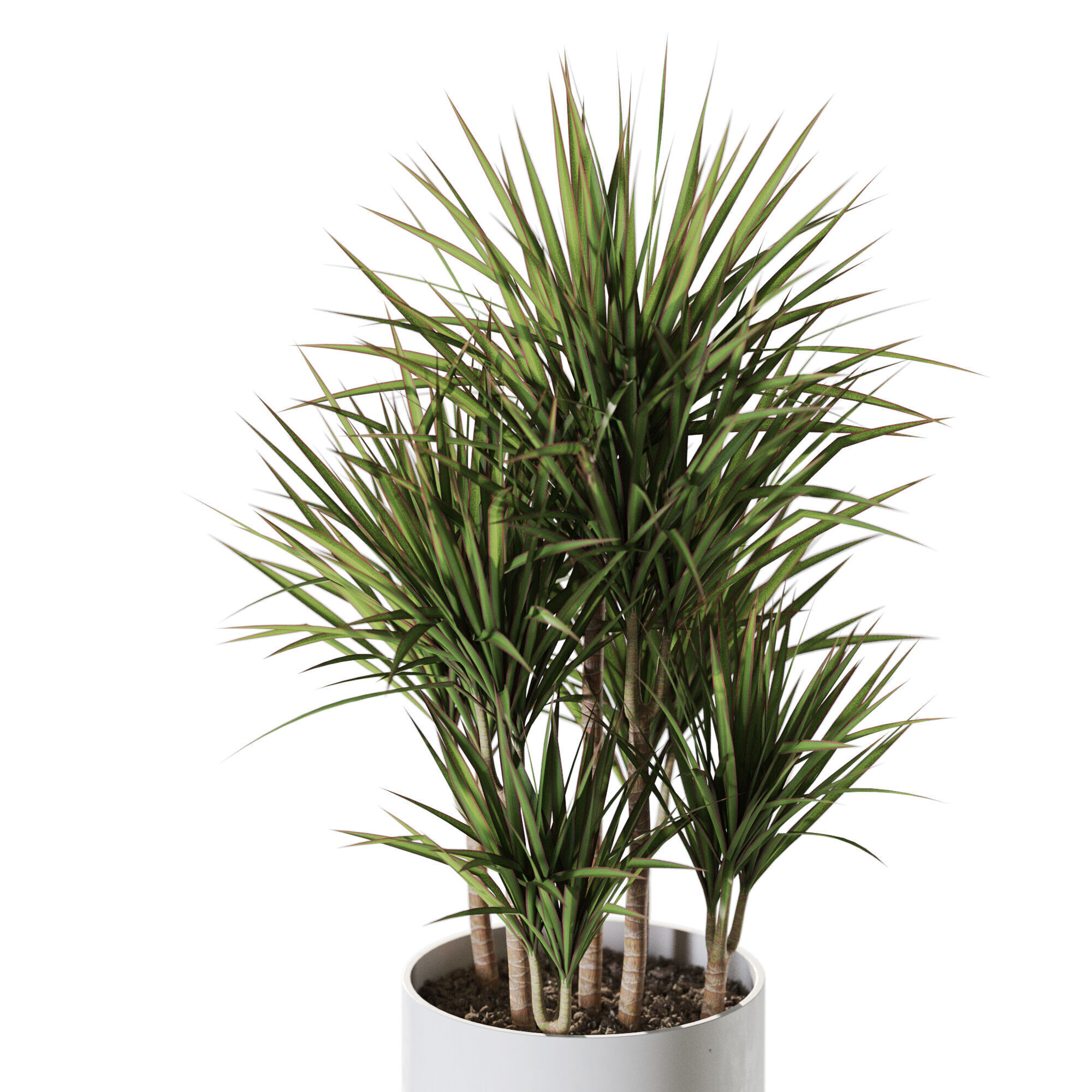 Plant 1243 3D model_2