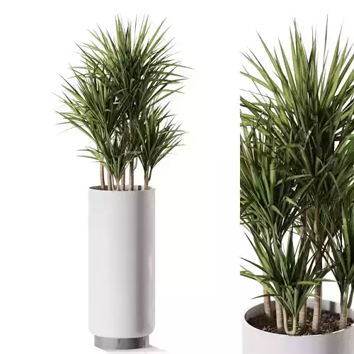 Plant 1243 3D model