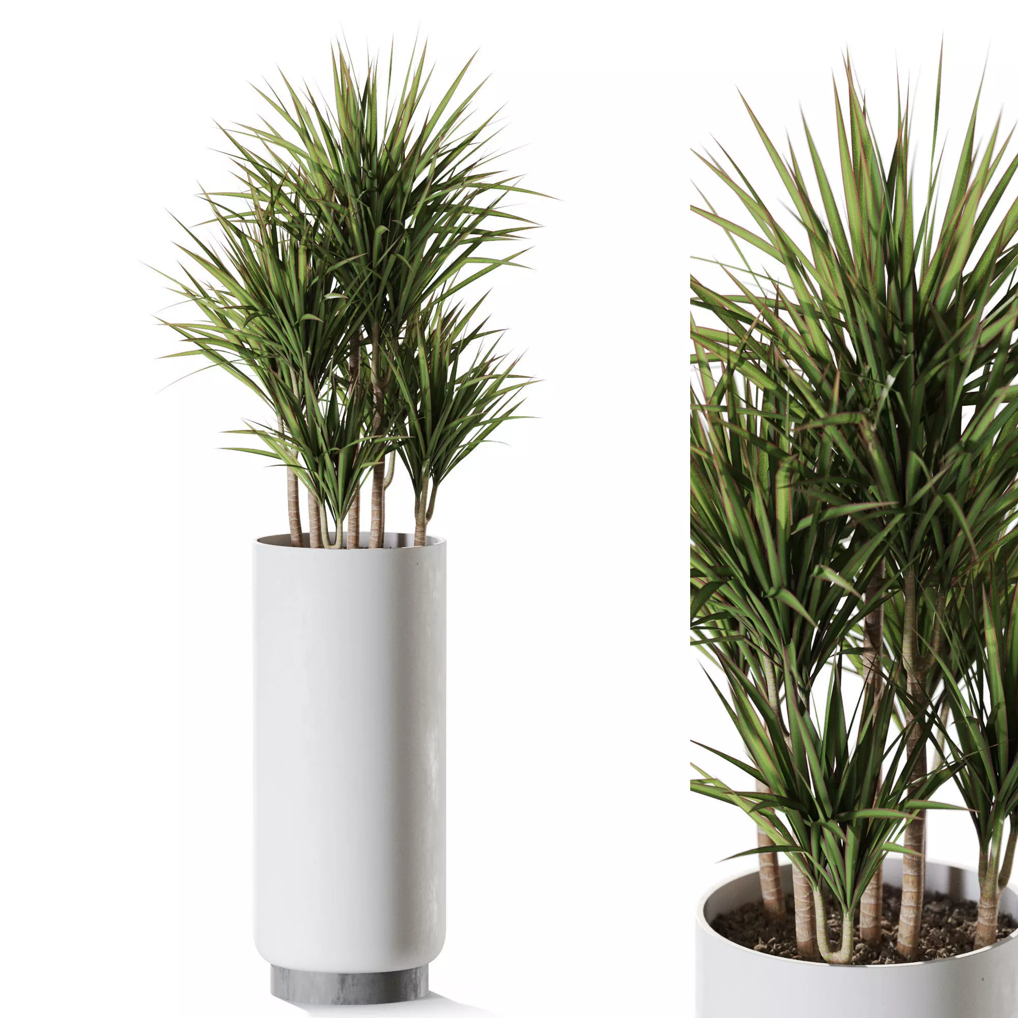 Plant 1243 3D model_0