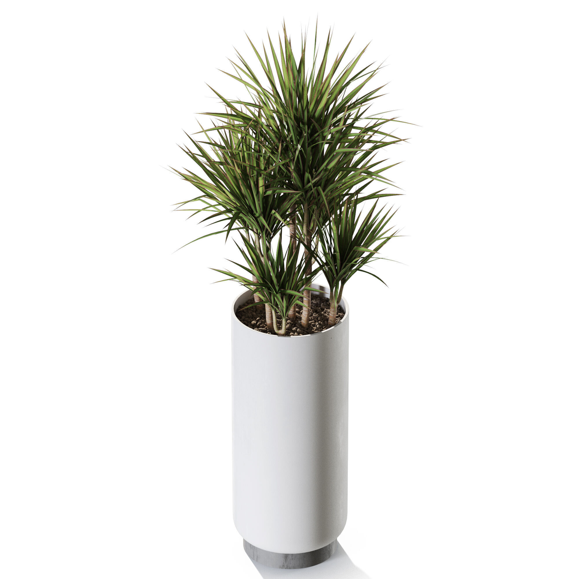 Plant 1243 3D model_3