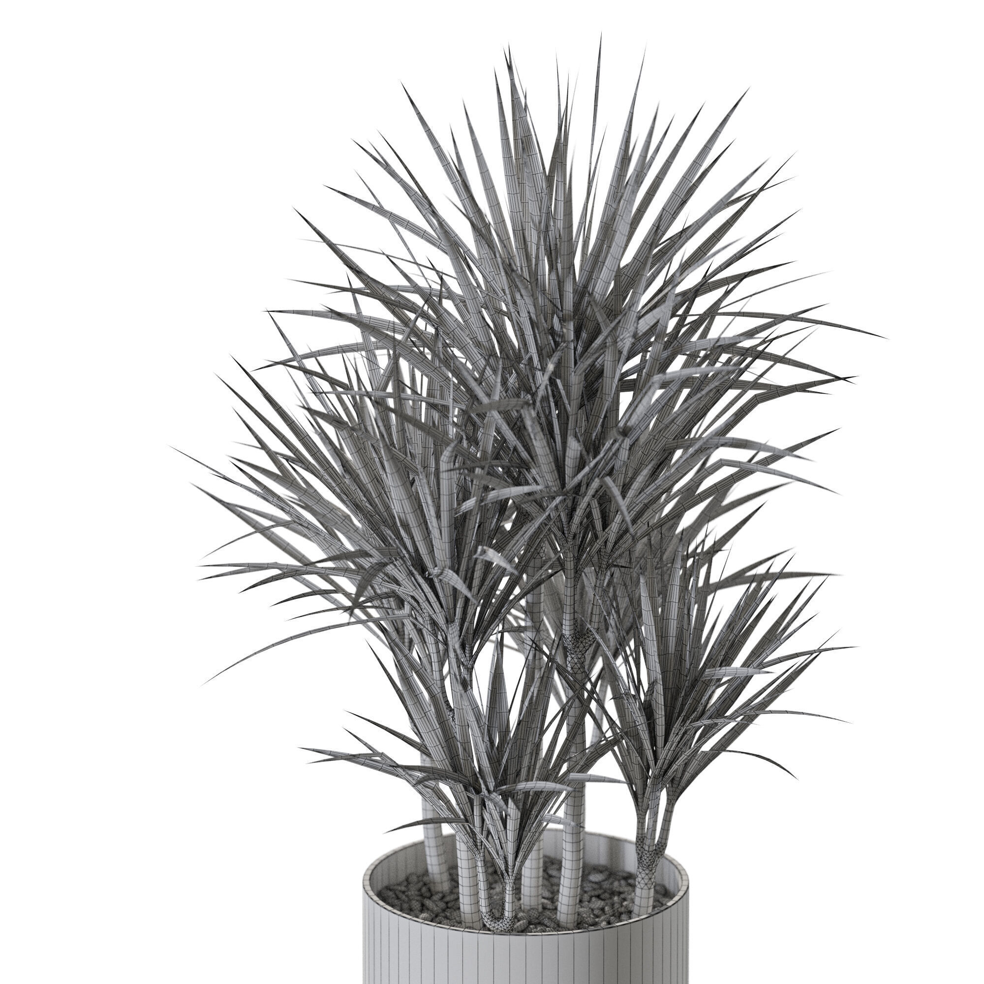 Plant 1243 3D model_5