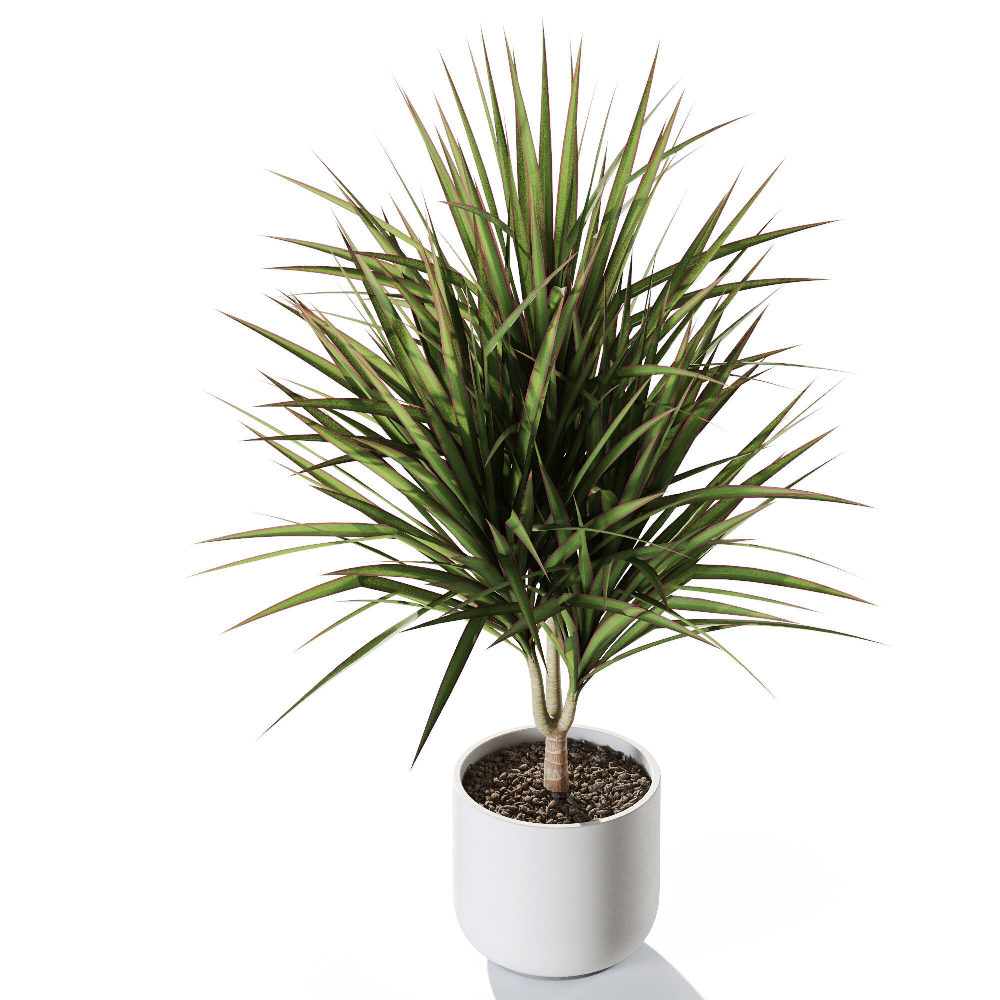 Plant 1244 3D model_3