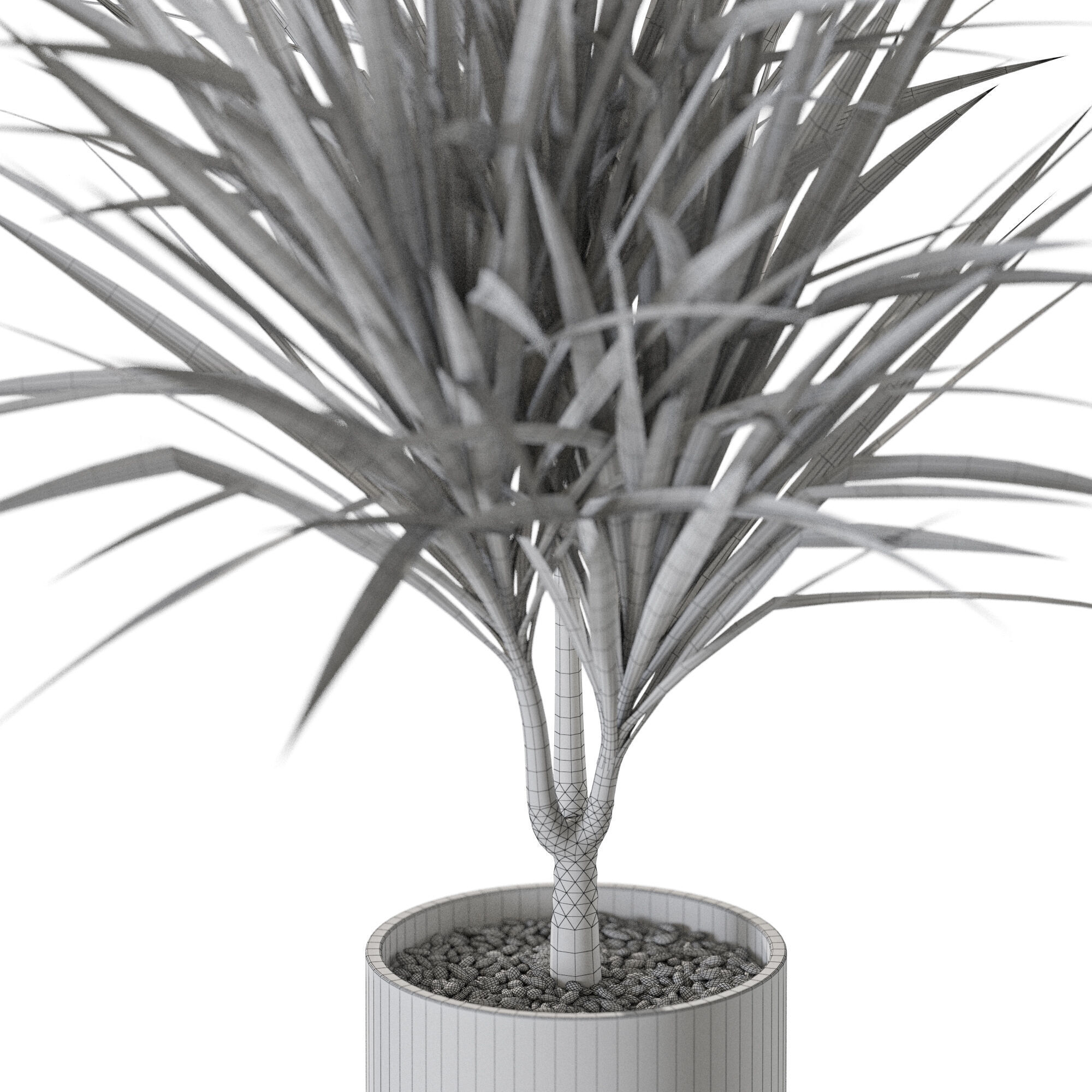 Plant 1244 3D model_5
