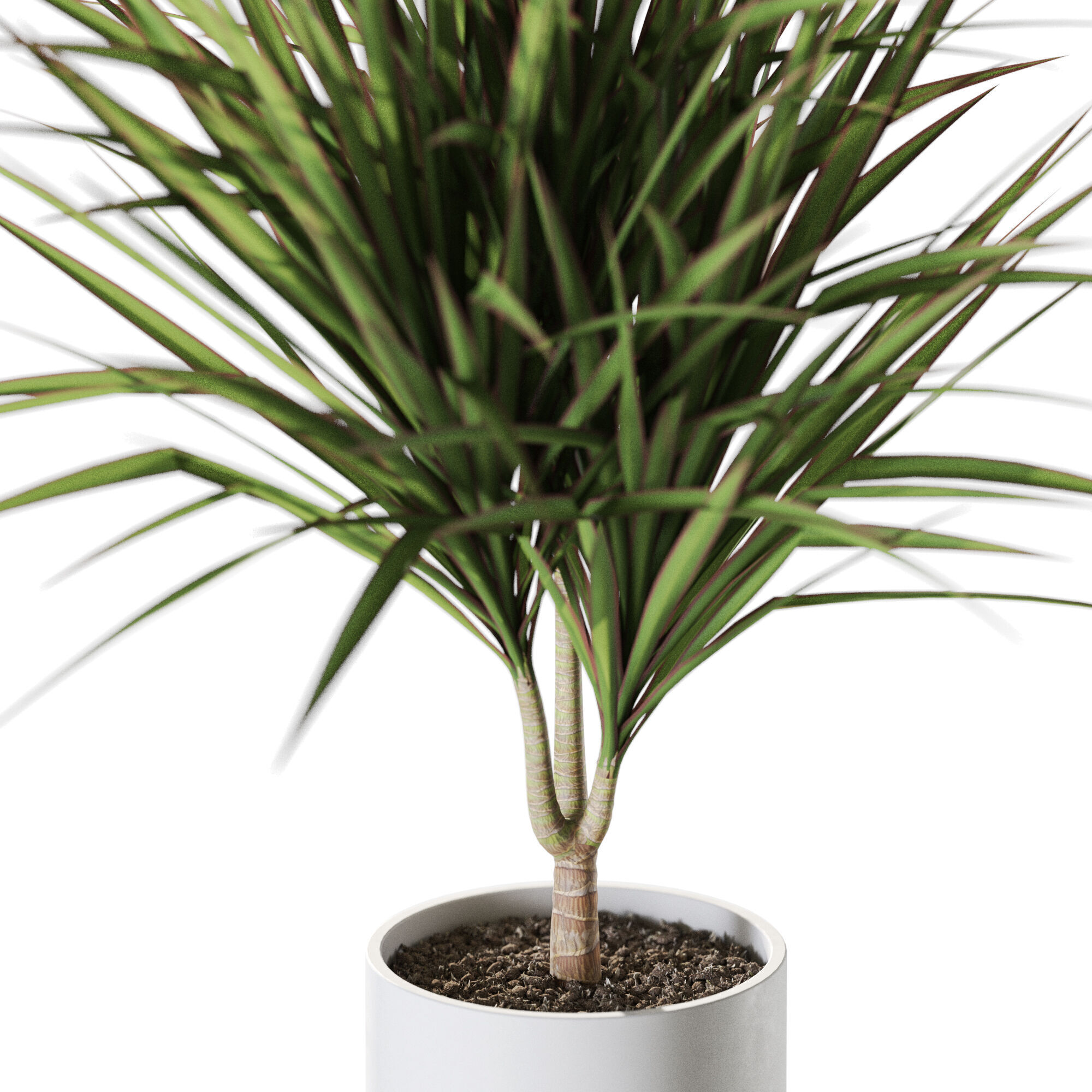 Plant 1244 3D model_2