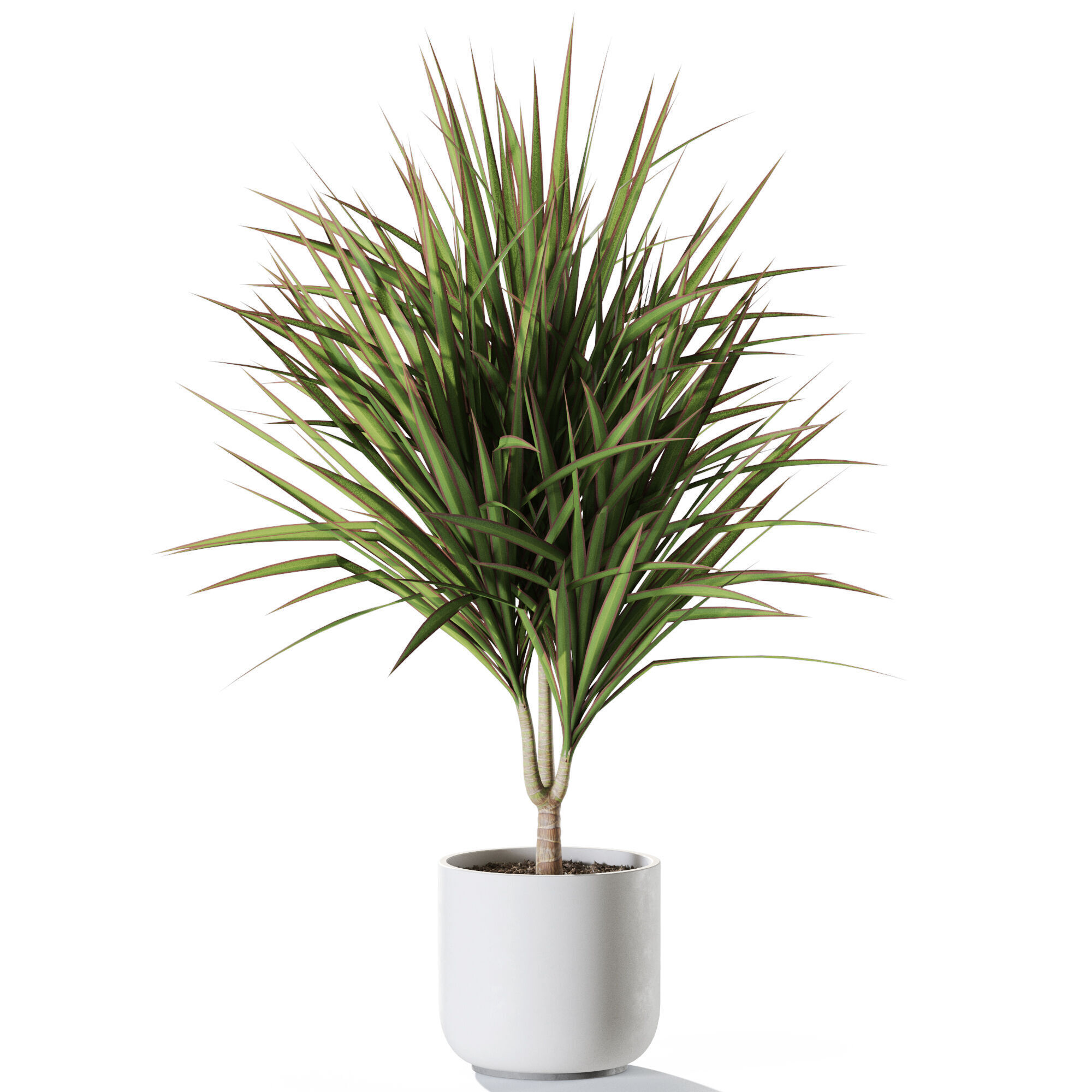 Plant 1244 3D model_1