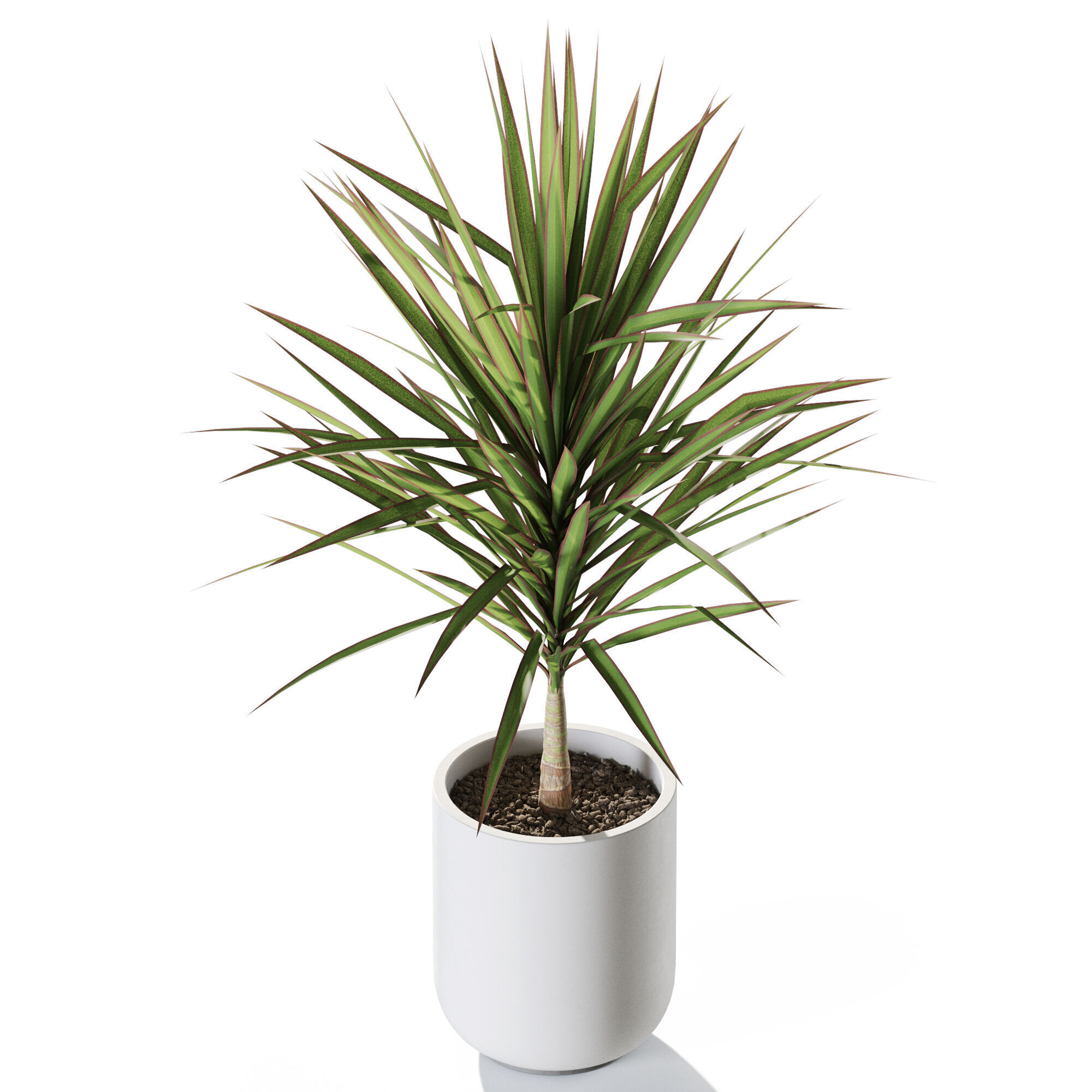 Plant 1245 3D model_3