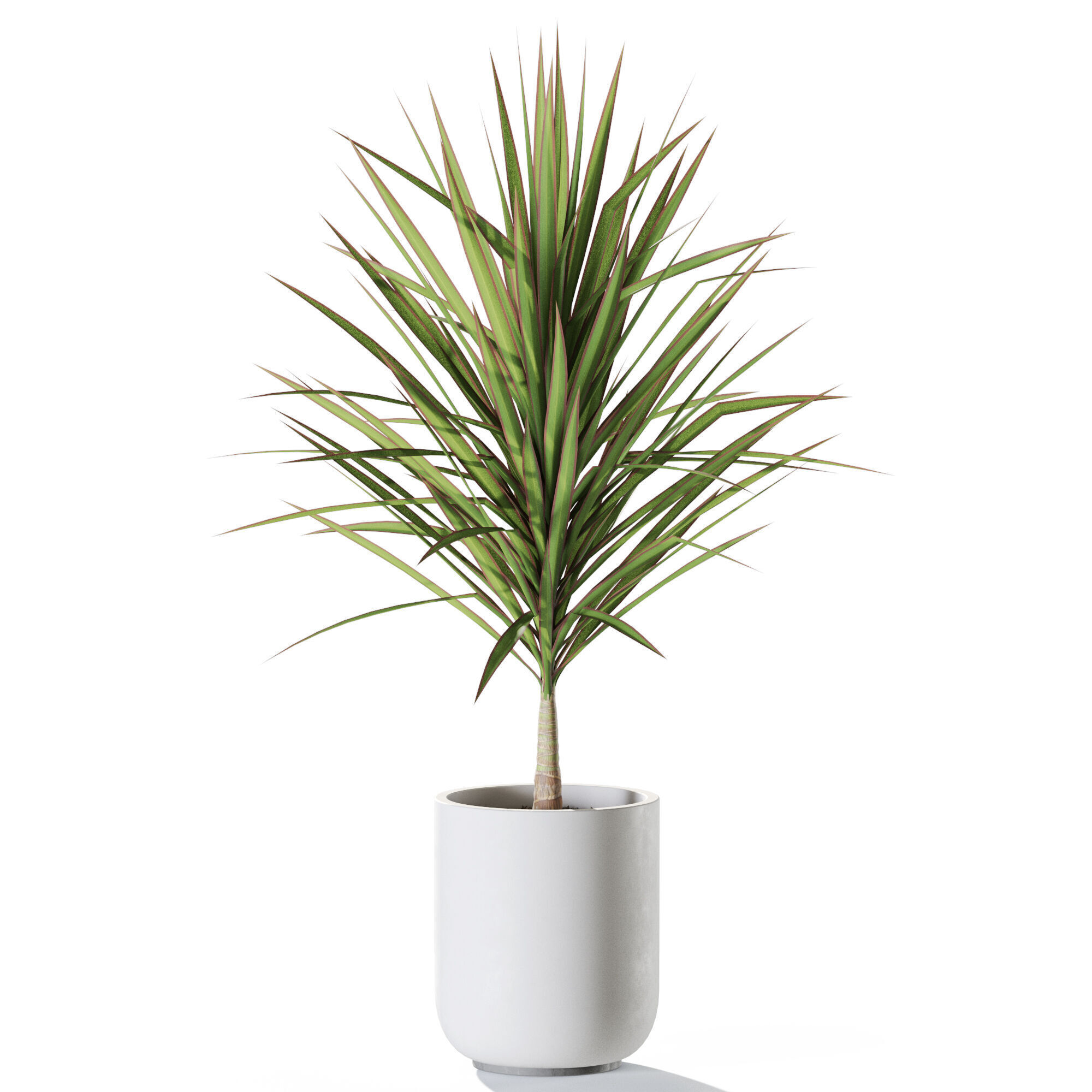 Plant 1245 3D model_1