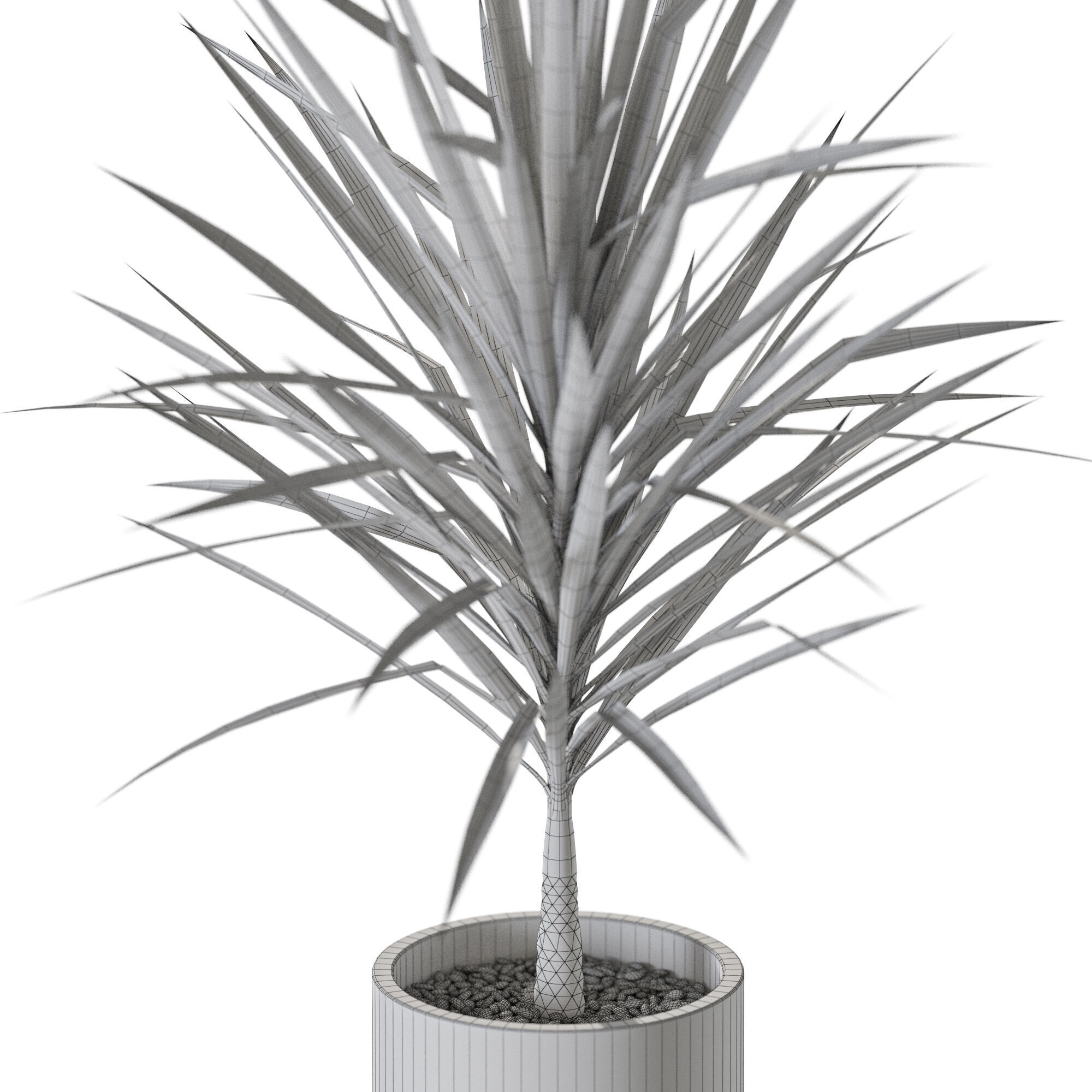 Plant 1245 3D model_5