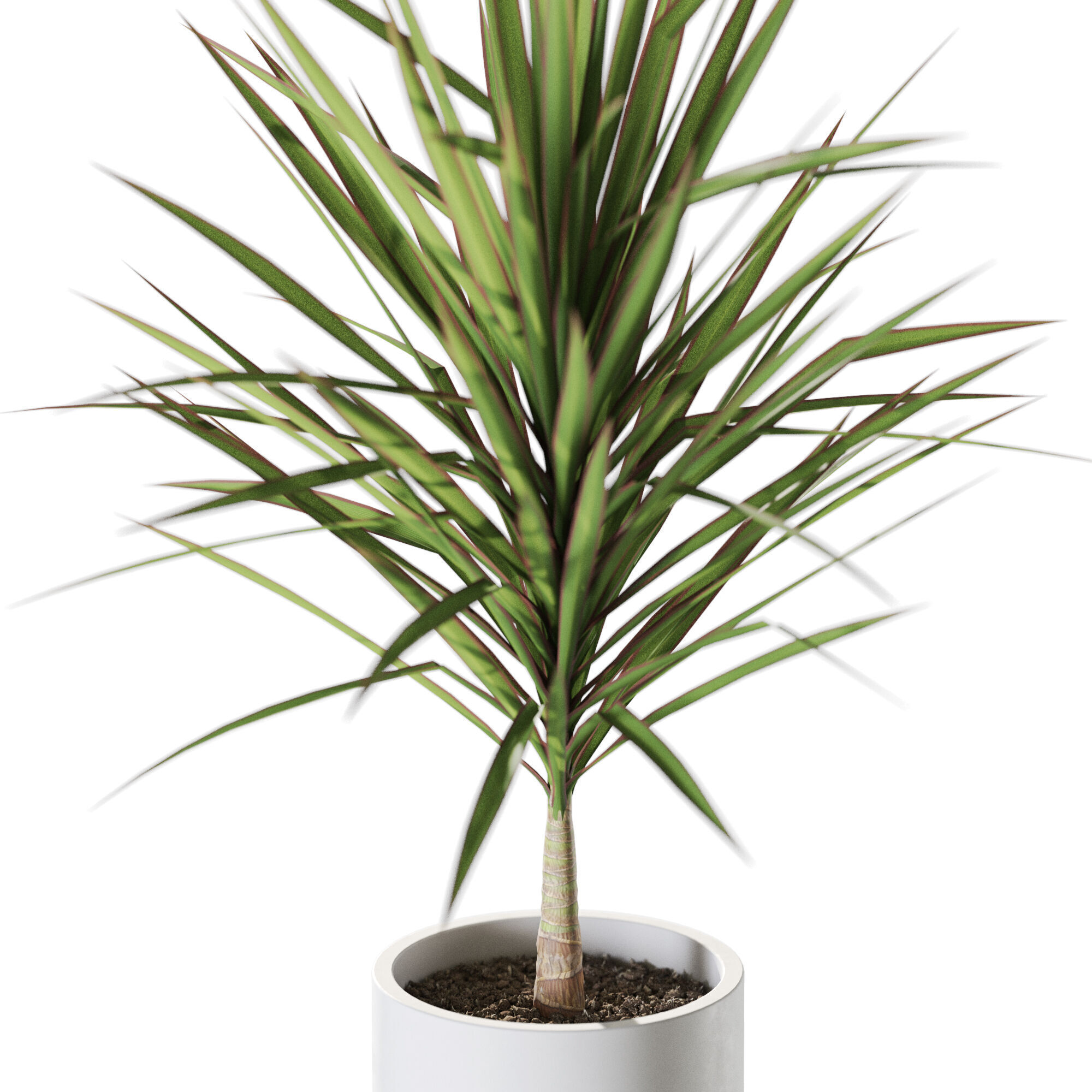 Plant 1245 3D model_2