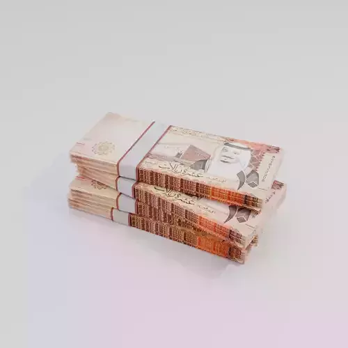 10 Saudi Arabia Riyal Currency