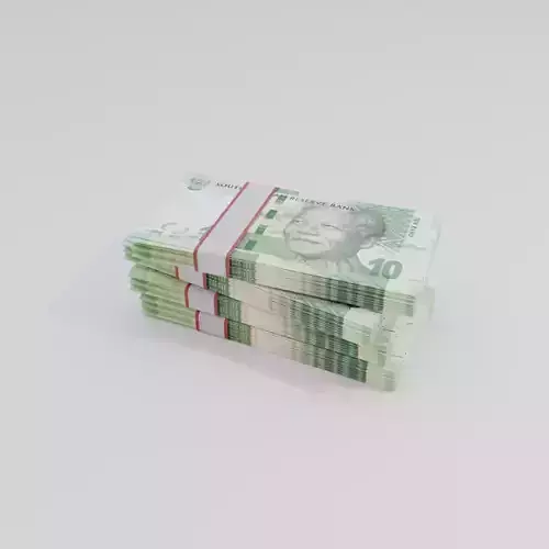 10 South African Rand Currency