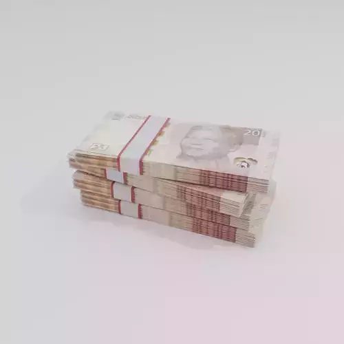 20 South African Rand Currency