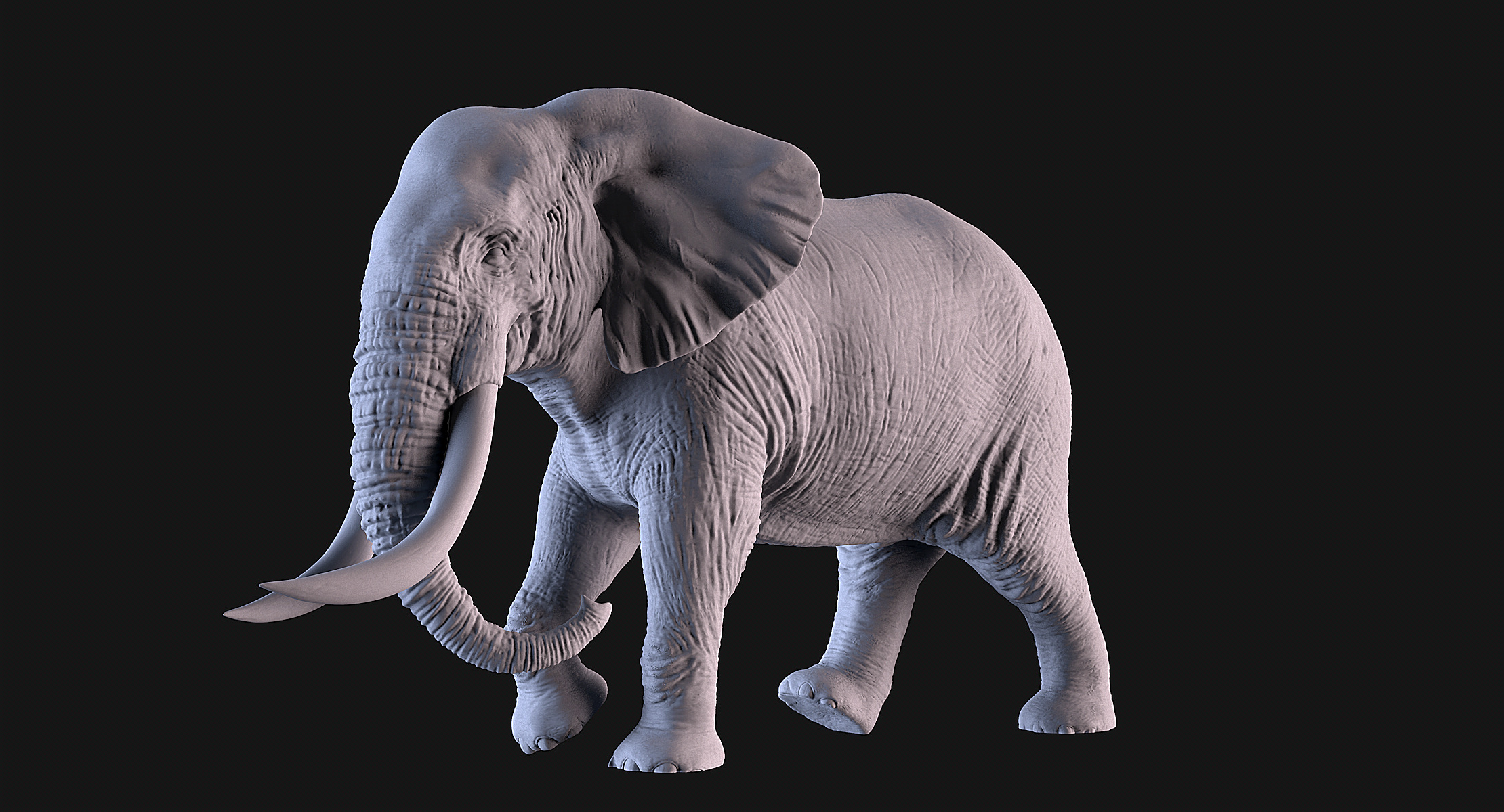 Elephants  African and Asian Species 3D print model_2