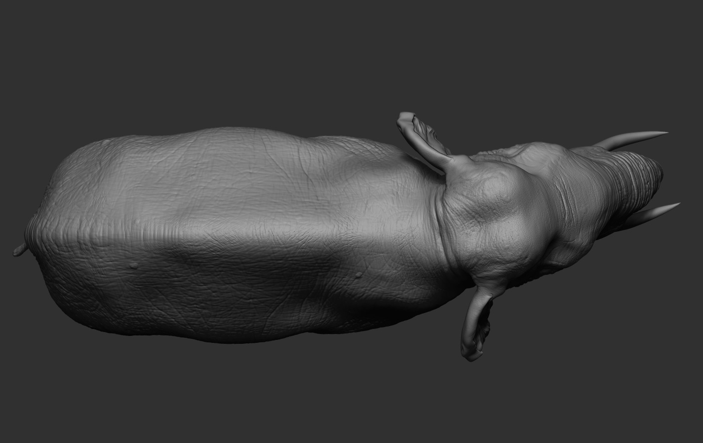 Elephants  African and Asian Species 3D print model_13