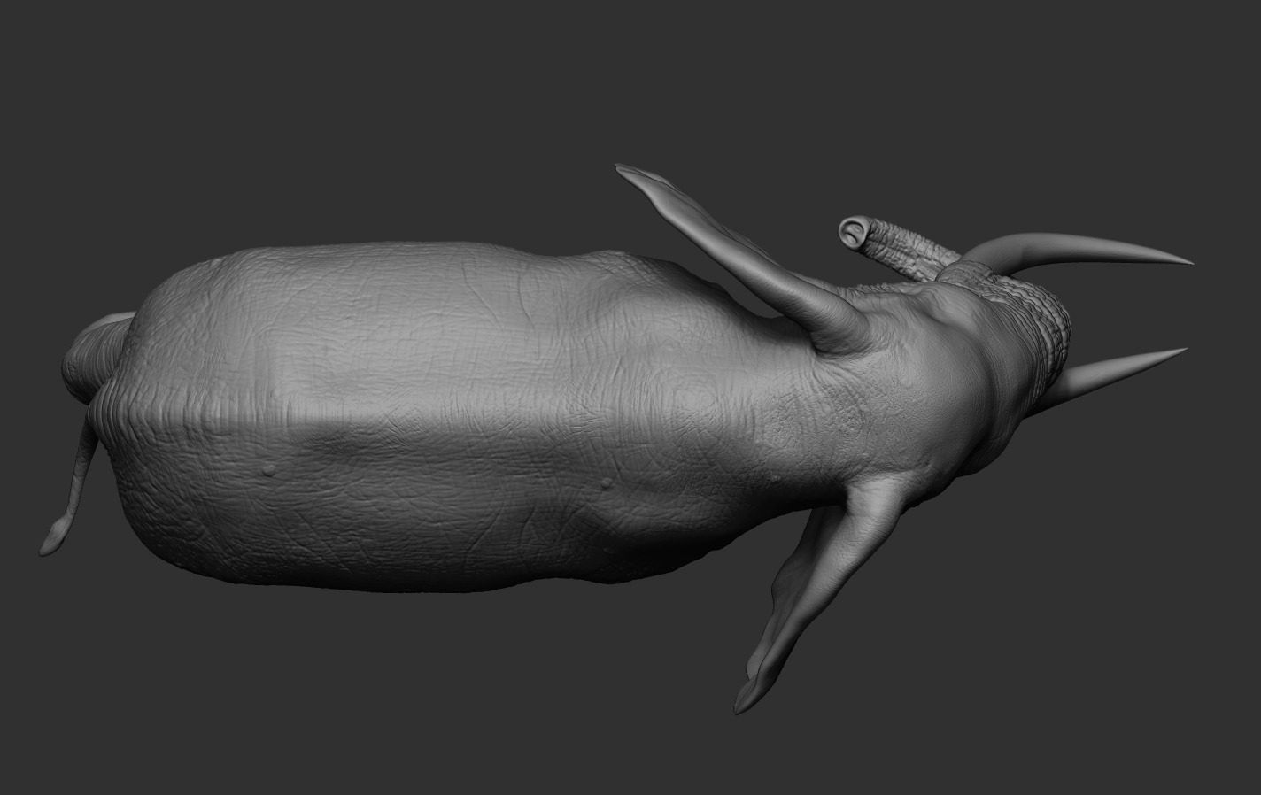 Elephants  African and Asian Species 3D print model_14