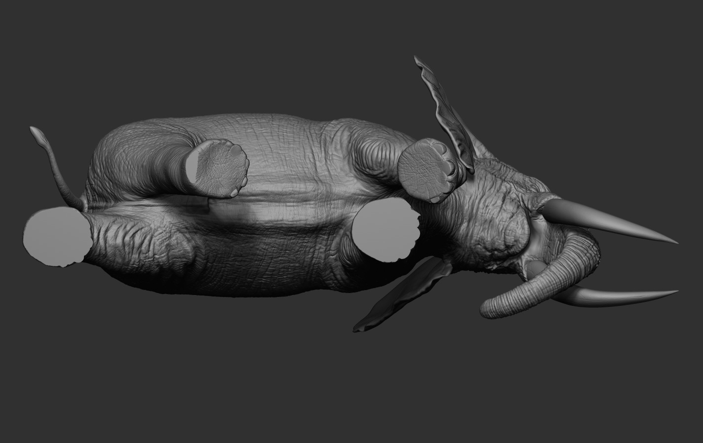 Elephants  African and Asian Species 3D print model_15