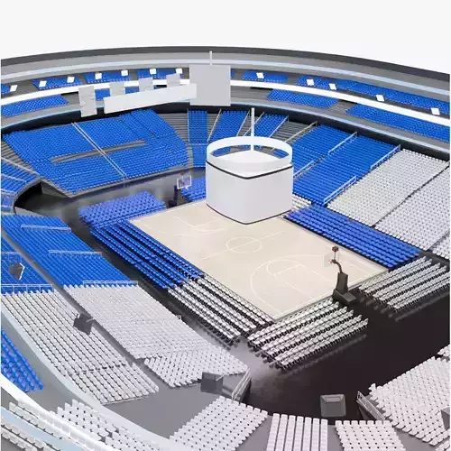 Basketball arena 